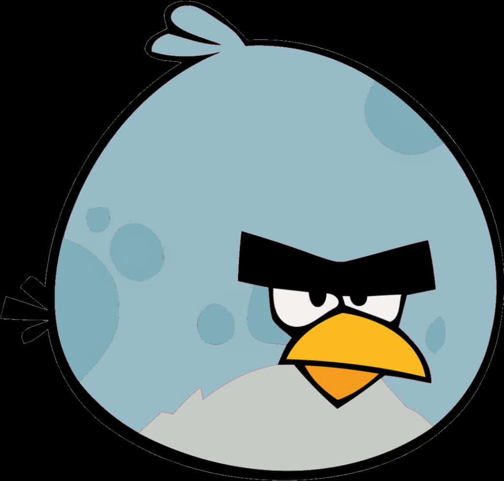 Angry Birds 桌布 壁紙 — 一隻卡通藍色憤怒鳥，有黃色喙和憤怒的眉毛，在黑色背景下強烈凝視。