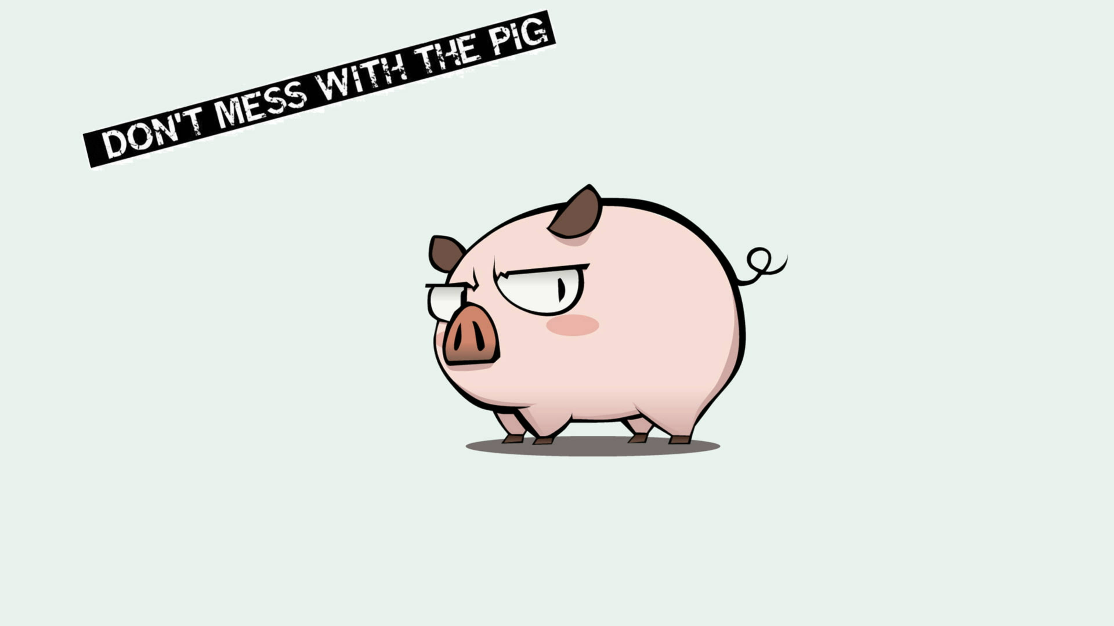 Pig 桌布 壁紙 — 一隻卡通豬帶著憤怒的眼神和眼鏡，在淡綠色背景上警告「DON'T MESS WITH THE PIG」。