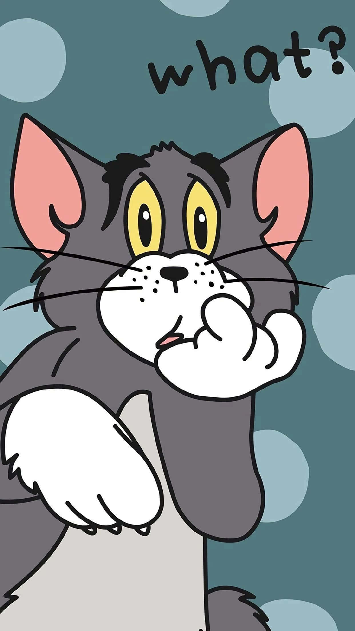 Tom And Jerry Funny 桌布 壁紙 — 一隻卡通貓咪，有著大大的黃色眼睛和困惑的表情，在帶有浮動圓圈的青綠色背景上，用爪子捂住嘴巴。
