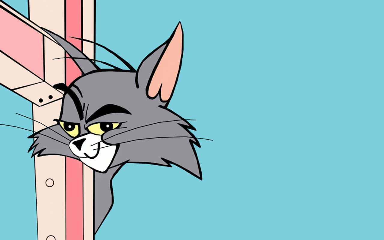 Tom And Jerry Funny 桌布 壁紙 — 一隻卡通貓咪帶著憤怒的黃色眼睛，從條紋柱後面窺視，背景是純藍色。
