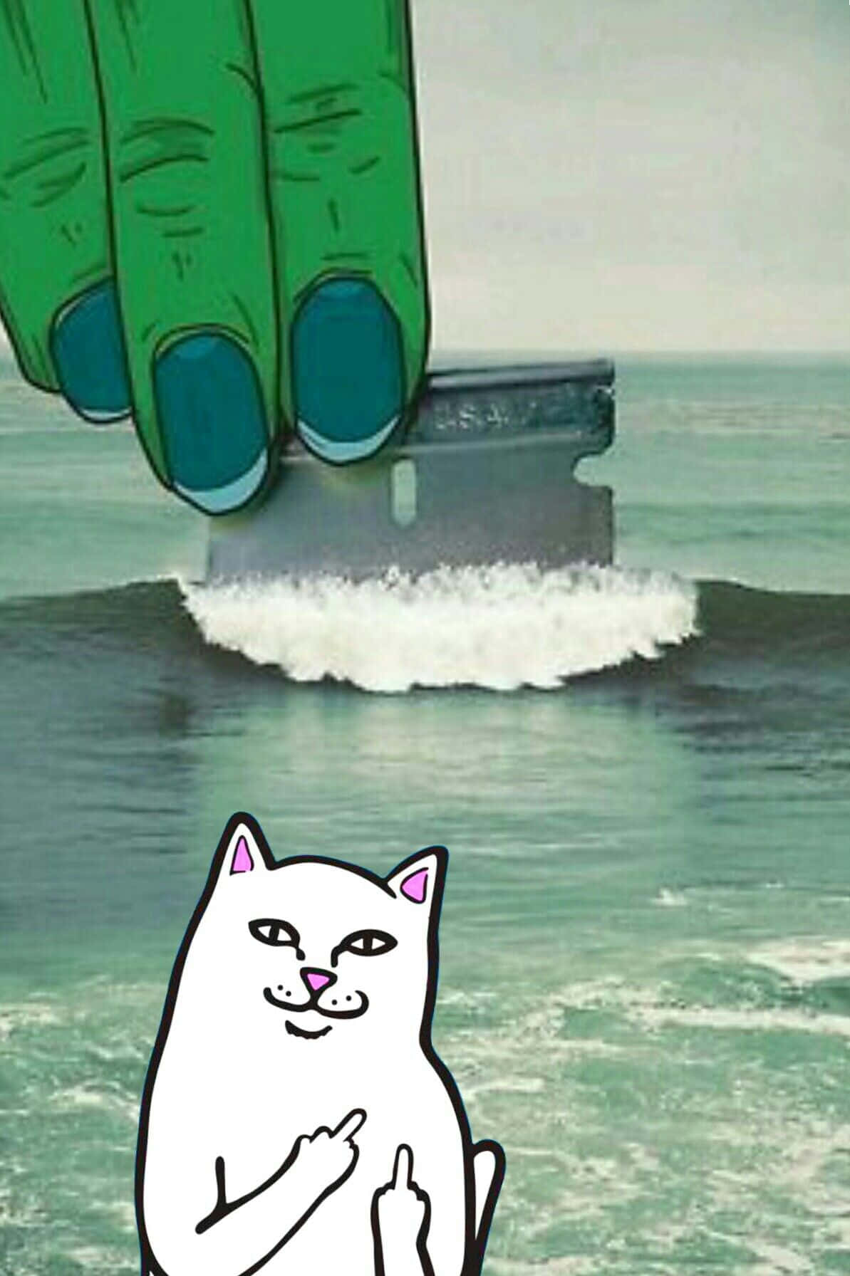 ripndip 桌布 壁紙 — 一隻卡通貓豎起中指，而一隻巨大的綠色手在藍綠色海浪中壓碎一艘船。