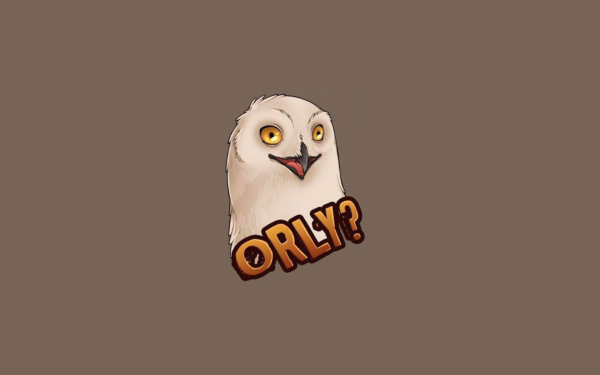 Funny Meme 桌布 壁紙 — 一隻卡通雪鴞，有著大大的黃色眼睛和驚訝的表情，下方有文字 'ORLY?'，背景為棕色。