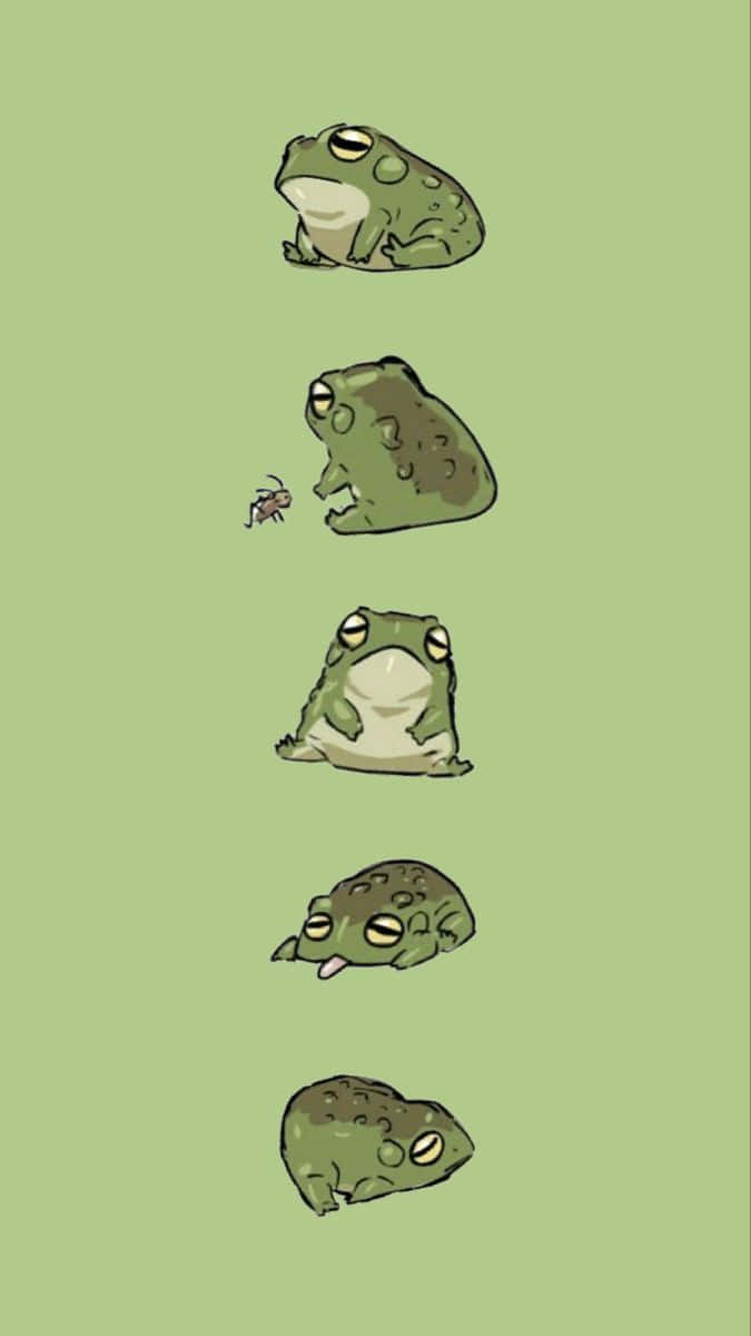 Frog 桌布 壁紙 — 一隻卡通青蛙在五個連續姿勢中從警覺到困倦，背景為純綠色。