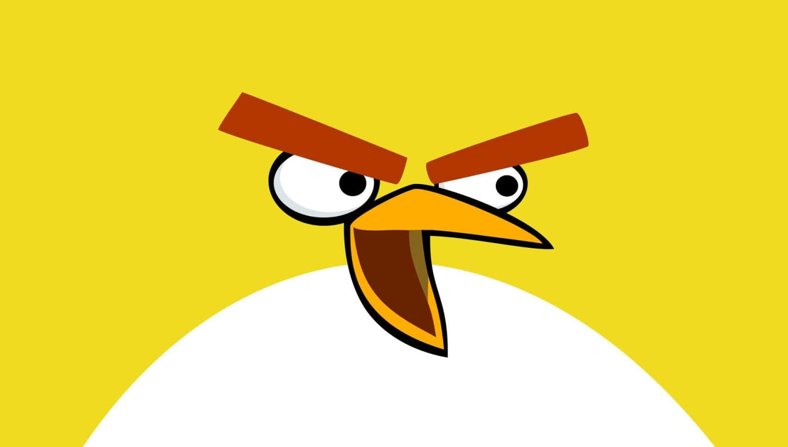 Kawaii Bird 桌布 壁紙 — 一隻卡通鳥，帶著憤怒的眉毛和一雙大眼睛，在明亮的黃色背景下強烈地凝視著。