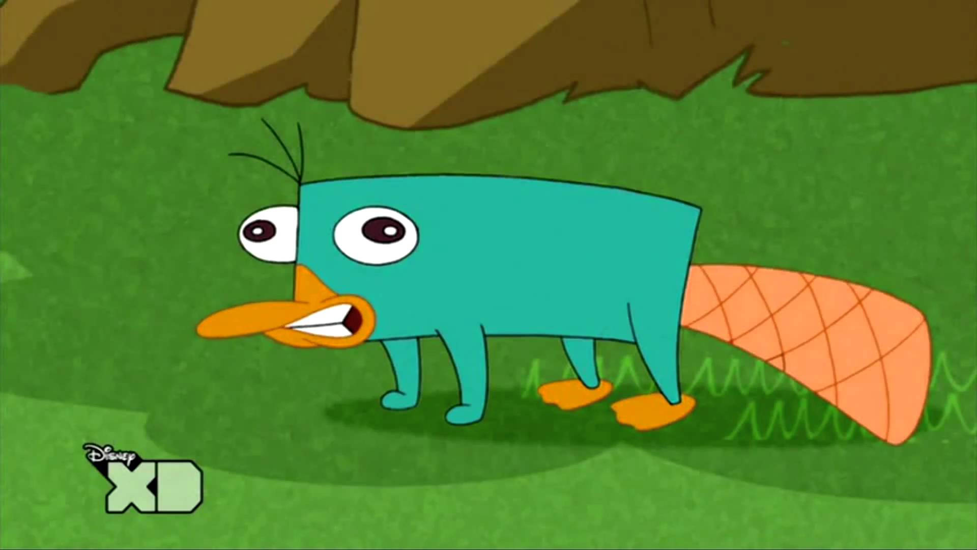 Ferb 桌布 壁紙 — 一隻卡通鴨嘴獸睜大眼睛露出驚訝表情，站在棕色岩石下的綠色草地上。