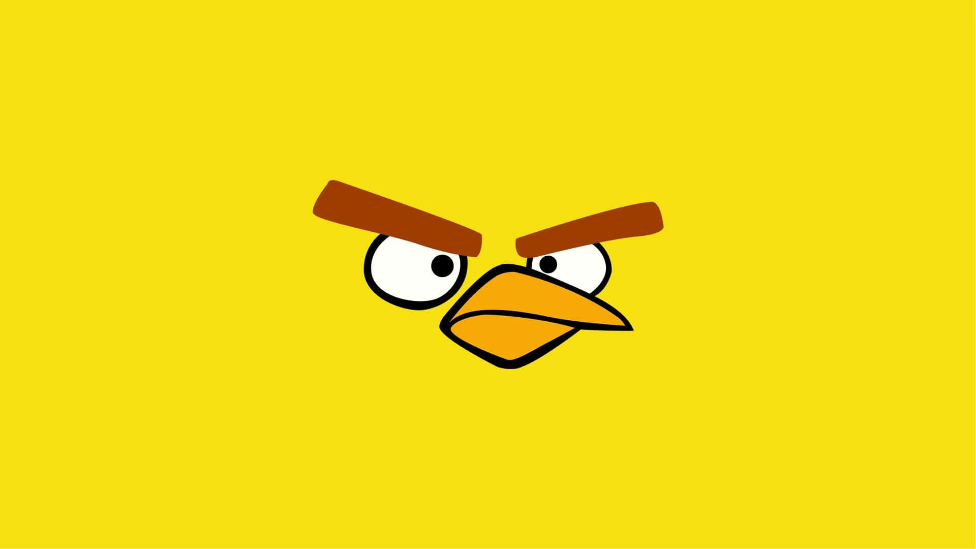 Angry Birds 桌布 壁紙 — 一隻卡通黃色小鳥帶著憤怒的眉毛，在純黃色背景上強烈凝視。