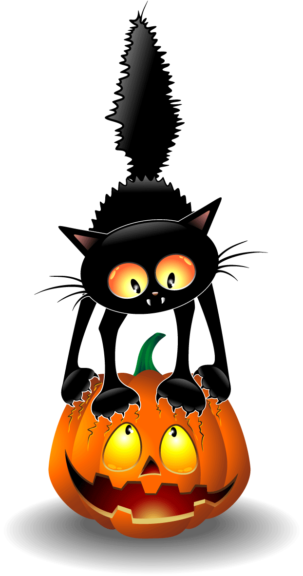 Halloween 桌布 壁紙 — 一隻卡通黑貓，發光的橙色眼睛，棲息在一個微笑的南瓜燈上，戴著鋸齒狀的黑色巫師帽。