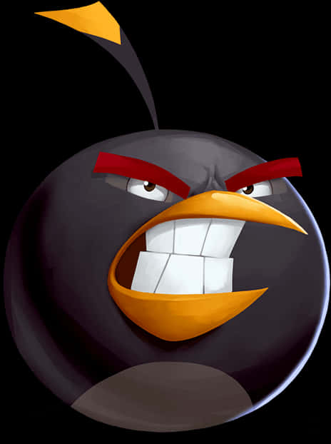 Angry Birds 桌布 壁紙 — 一隻卡通黑鳥，有紅色眉毛和黃色喙，在黑色背景上憤怒地咬牙切齒。