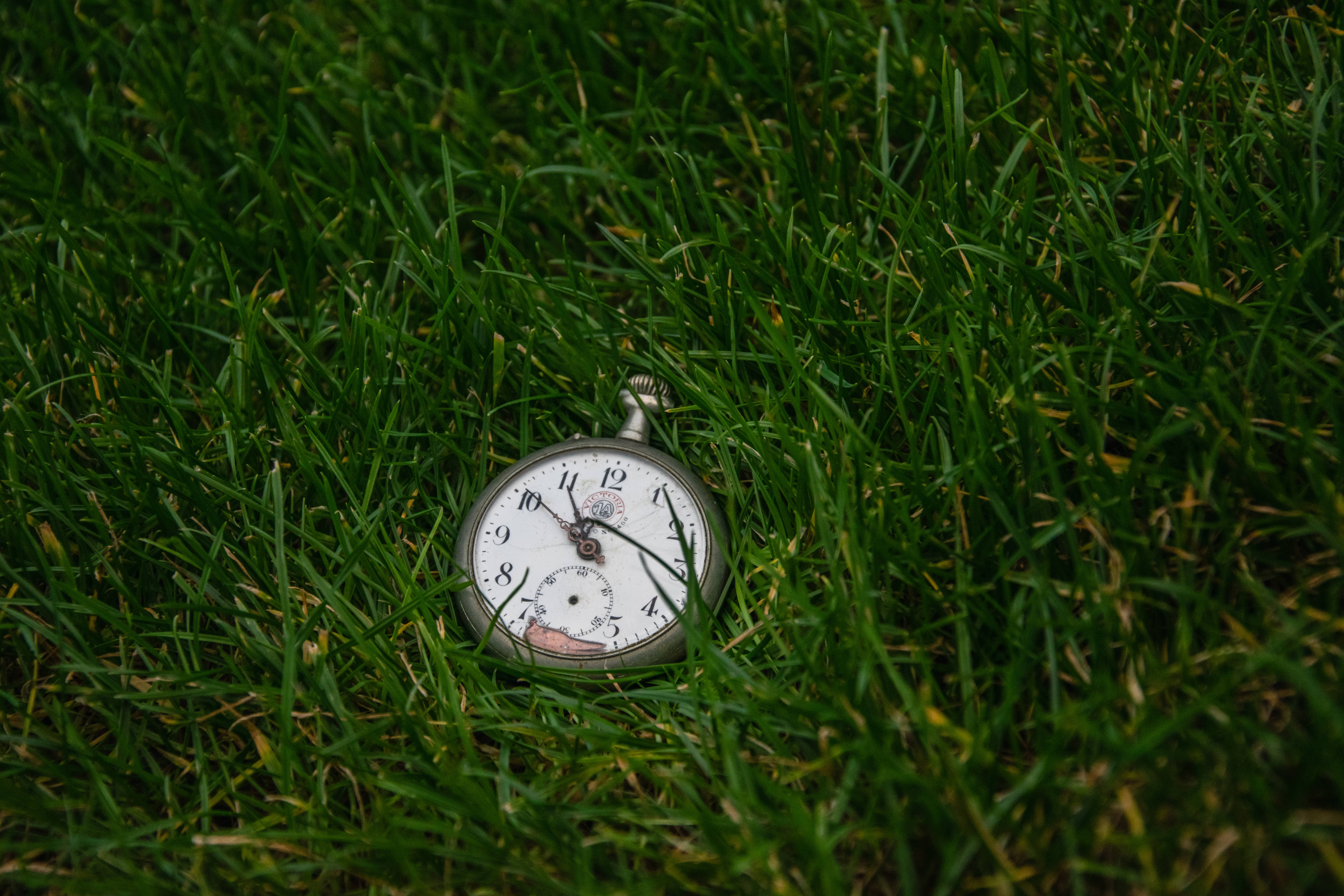 Time 桌布 壁紙 — 一隻古董懷錶在柔和自然光下安放在鮮綠的草葉間。