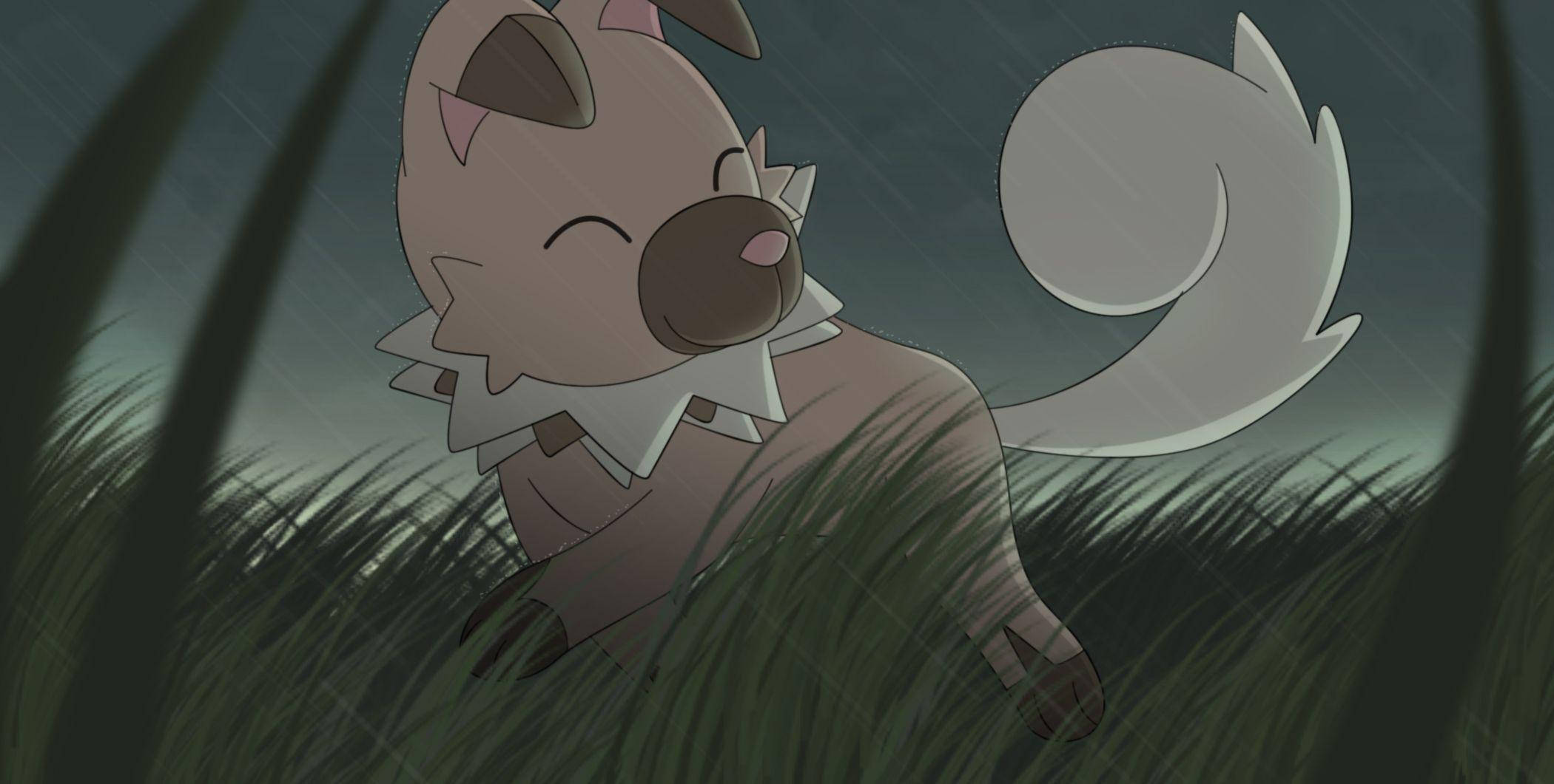 動漫 桌布 壁紙 — 一隻可愛的動漫小狗，有著蓬鬆的尾巴，在雨夜的天空下高高興興地坐在高高的草叢中。