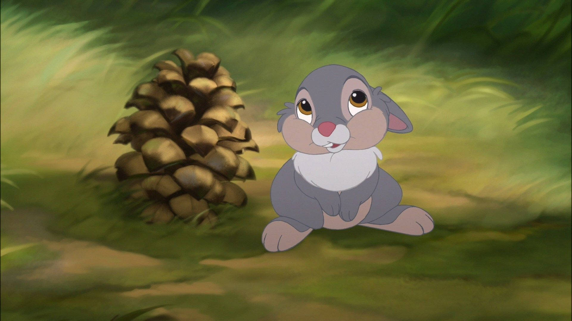 Thumper 桌布 壁紙 — 一隻可愛的動畫兔子坐在陽光普照的草地上，旁邊有一個松果。