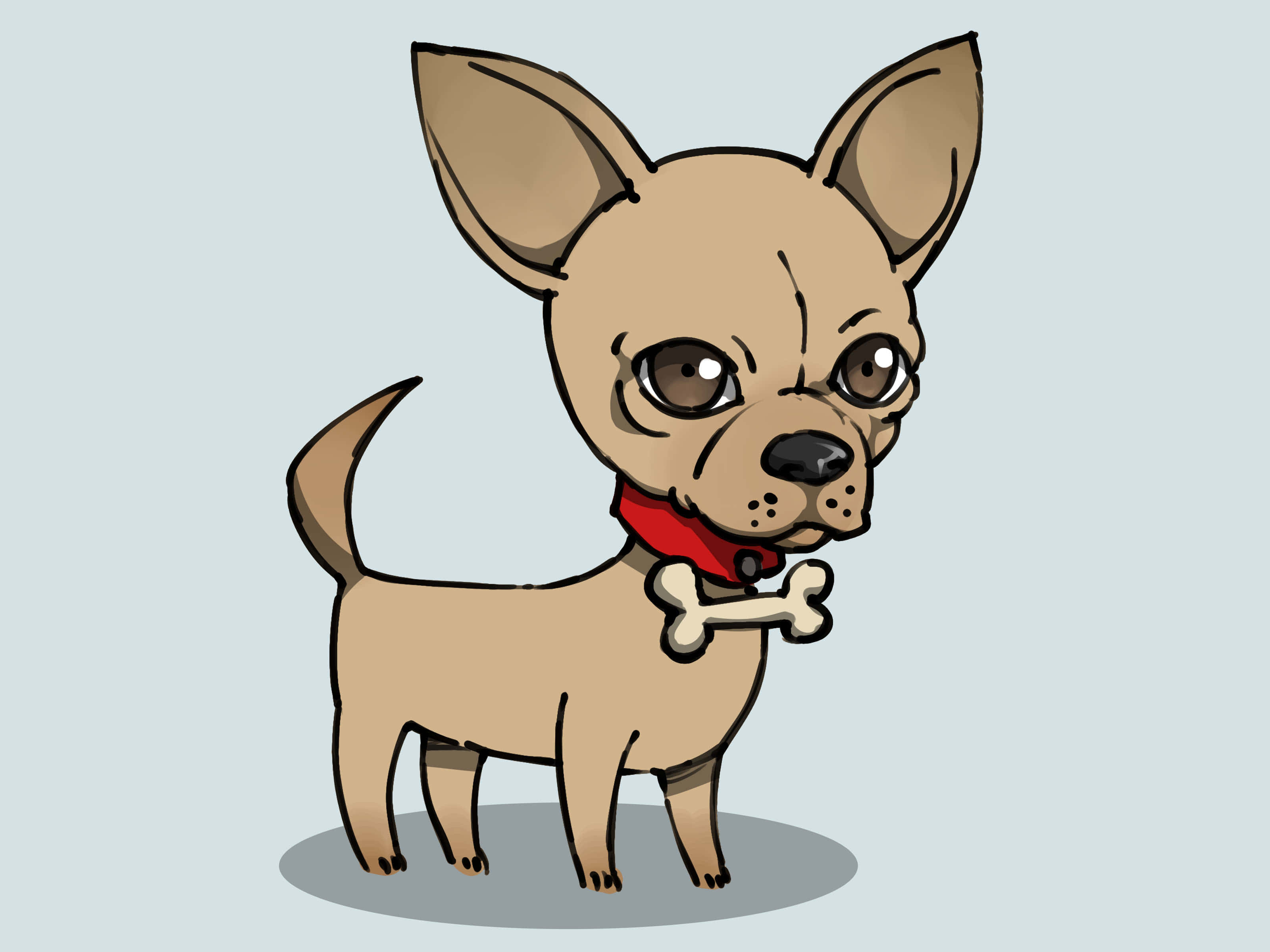 Chihuahua 桌布 壁紙 — 一隻可愛的卡通吉娃娃，大眼睛，戴紅色項圈，拿著骨頭，背景是淺藍色。