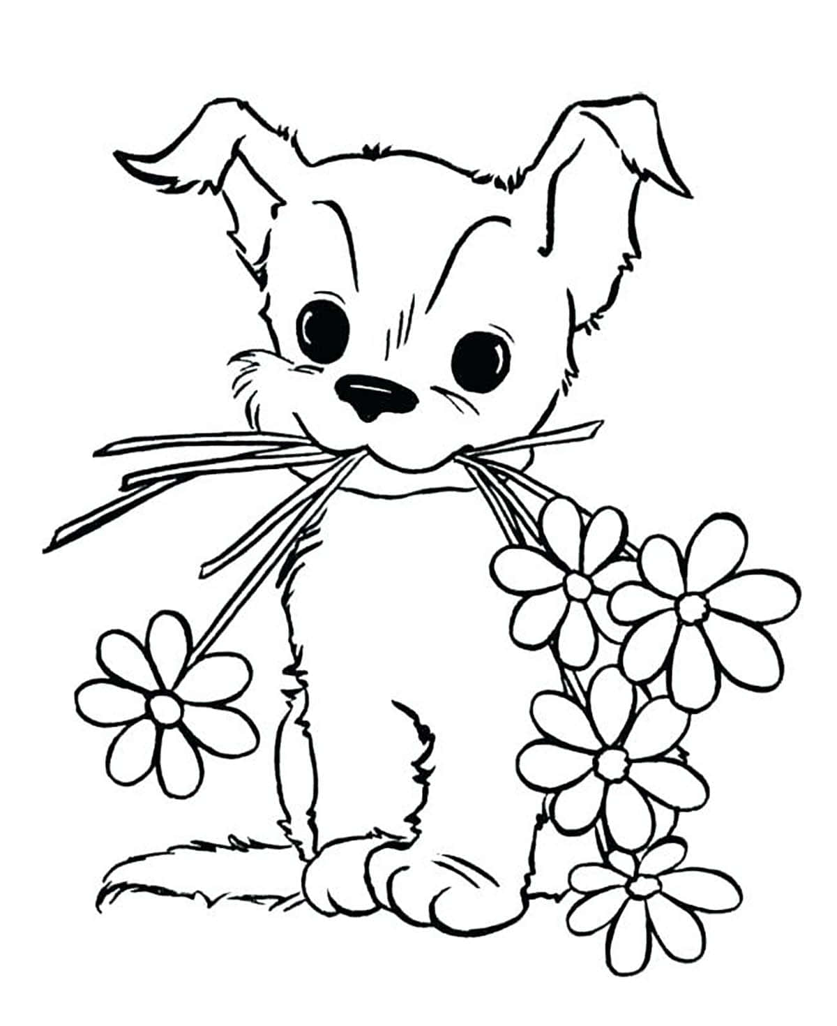 coloring 桌布 壁紙 — 一隻可愛的卡通小狗，大眼睛，叼著一束雛菊，背景是純白色。