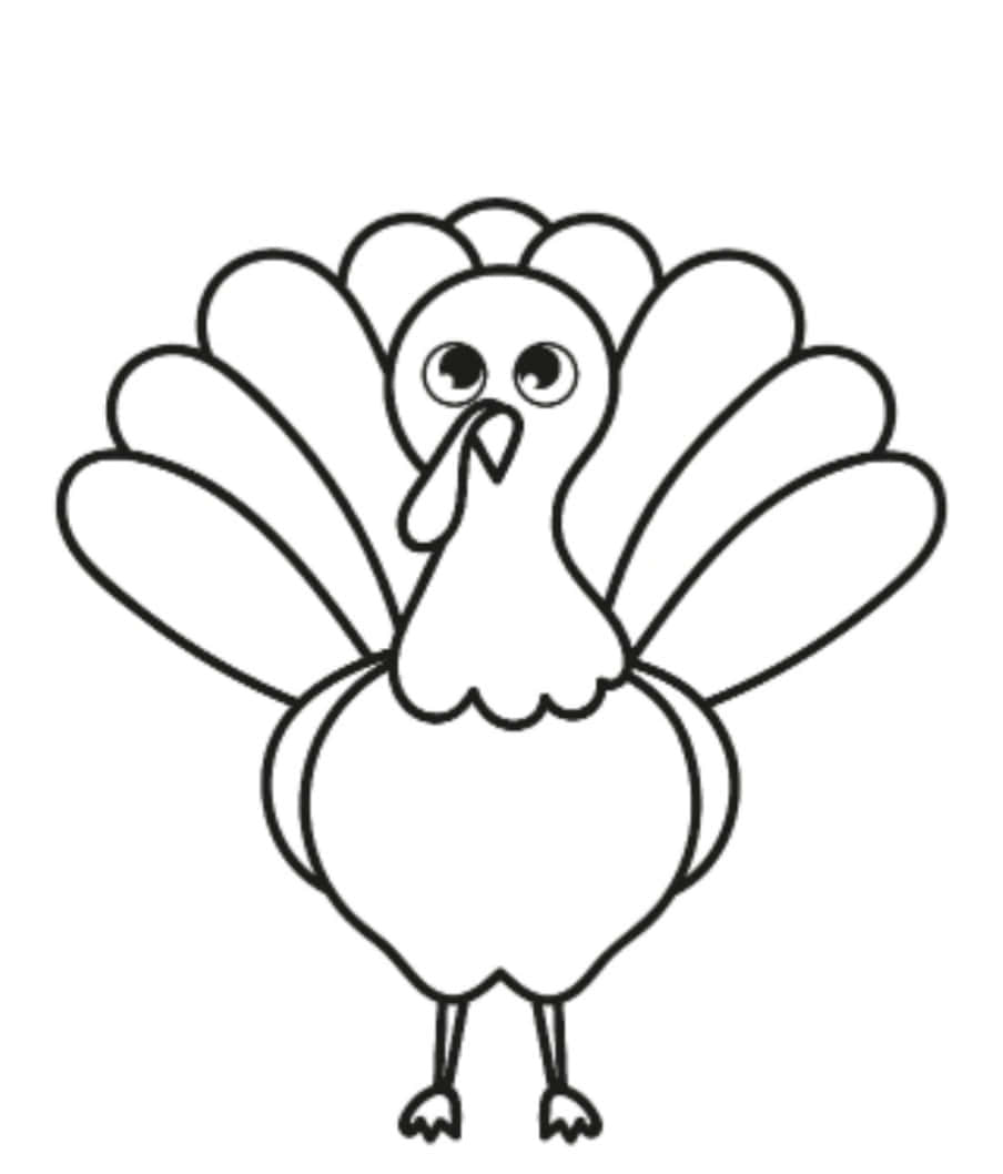 Turkey Coloring 桌布 壁紙 — 一隻可愛的卡通火雞，有大眼睛和扇形尾羽，用黑色線條畫在白色背景上。