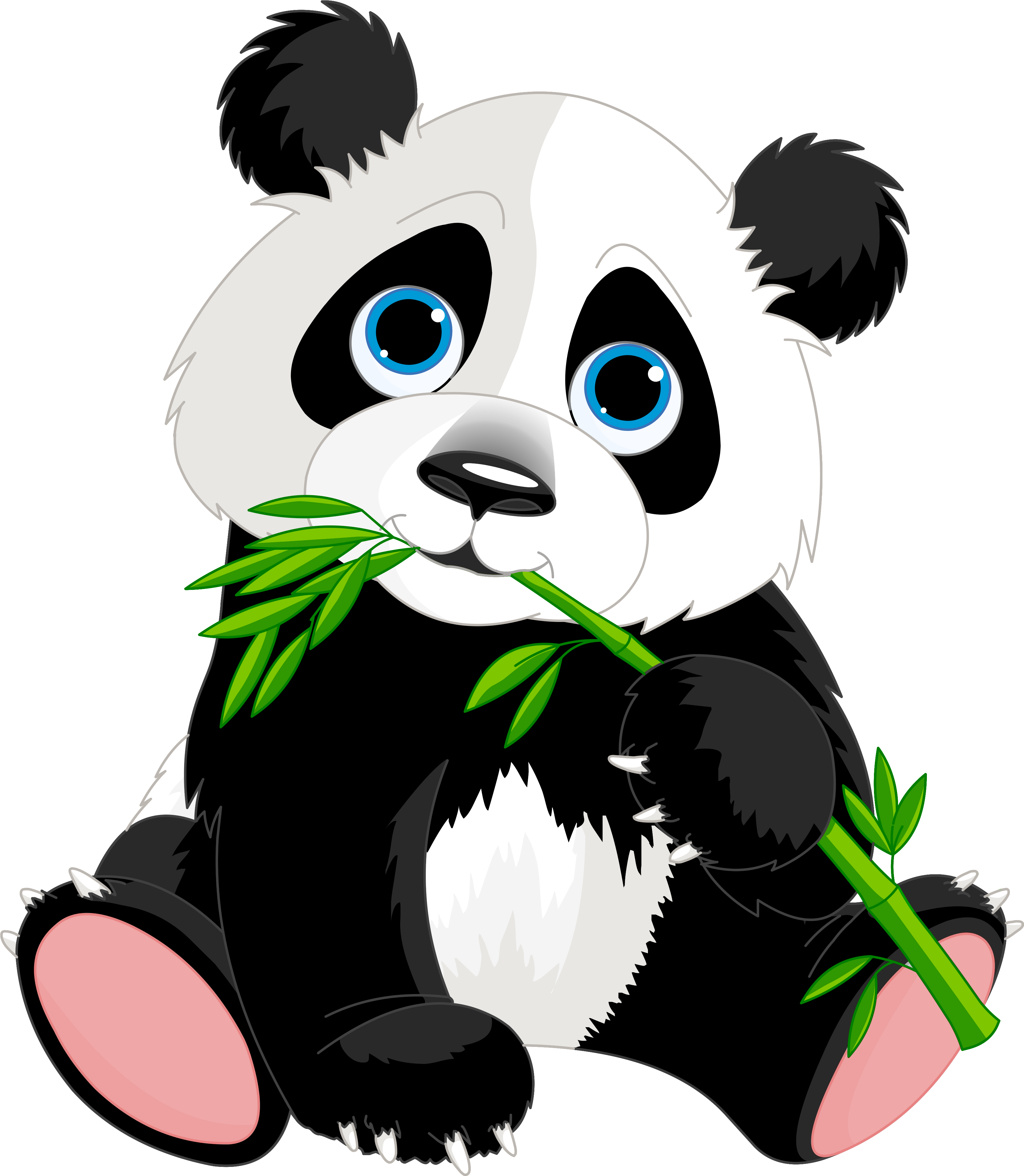 可愛熊貓 桌布 壁紙 — 一隻可愛的卡通熊貓，藍色眼睛，在黑色背景上嚼著綠色竹子。