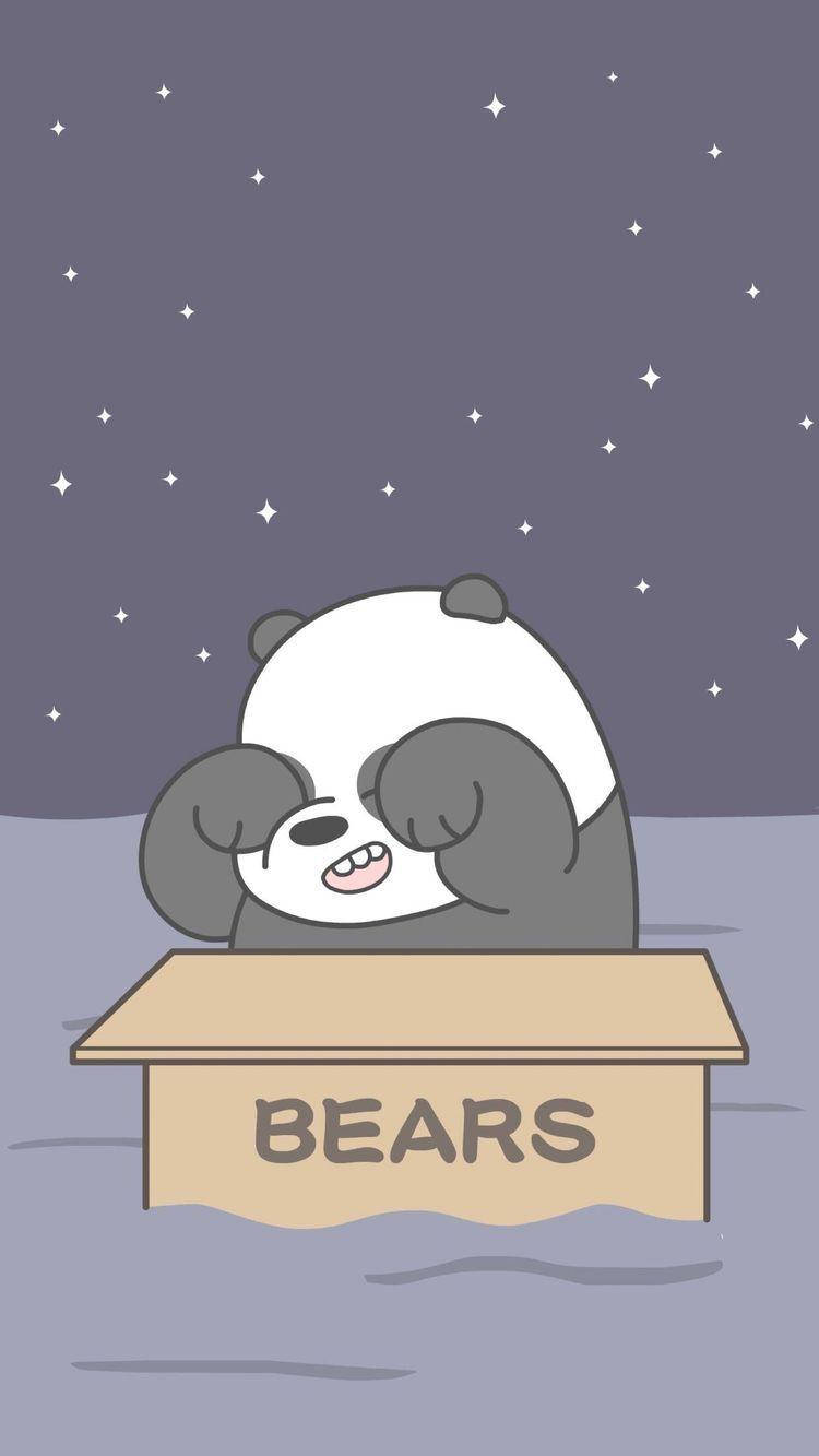 熊貓 桌布 壁紙 — 一隻可愛的卡通熊貓在星空下一個標有 BEARS 的紙箱中安然入睡。