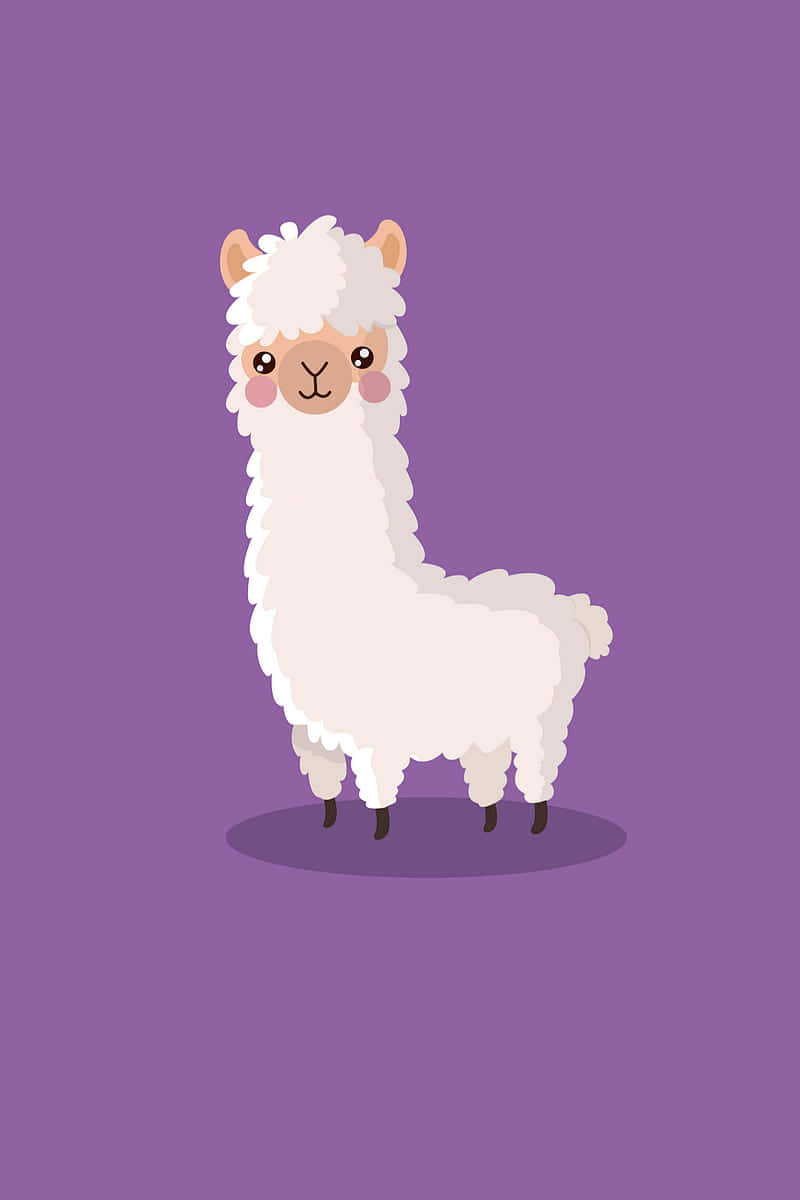 llama 桌布 壁紙 — 一隻可愛的卡通羊駝，擁有蓬鬆的白色毛髮和玫瑰色臉頰，站在純紫色背景前。