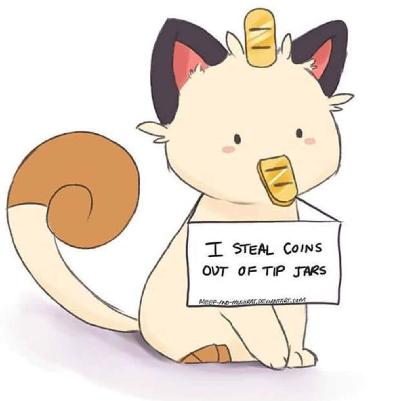 Pokemon Funny 桌布 壁紙 — 一隻可愛的卡通貓，頭上和嘴裡各有一枚硬幣，舉著一個牌子承認從小費罐裡偷硬幣。