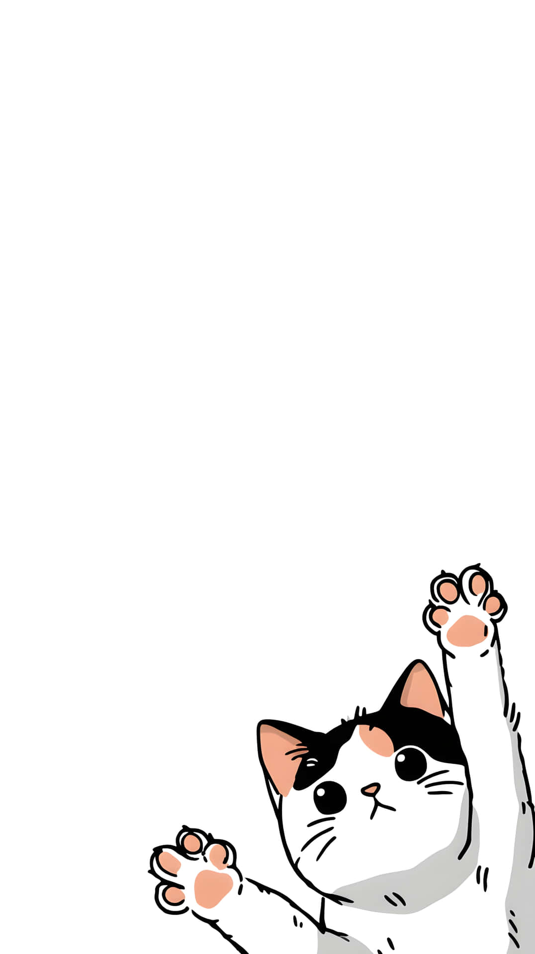 Playful calico cat paws raised cartoon 壁紙 — 一隻可愛的卡通貓，黑白毛色，在純白背景前頑皮地舉起兩隻爪子。