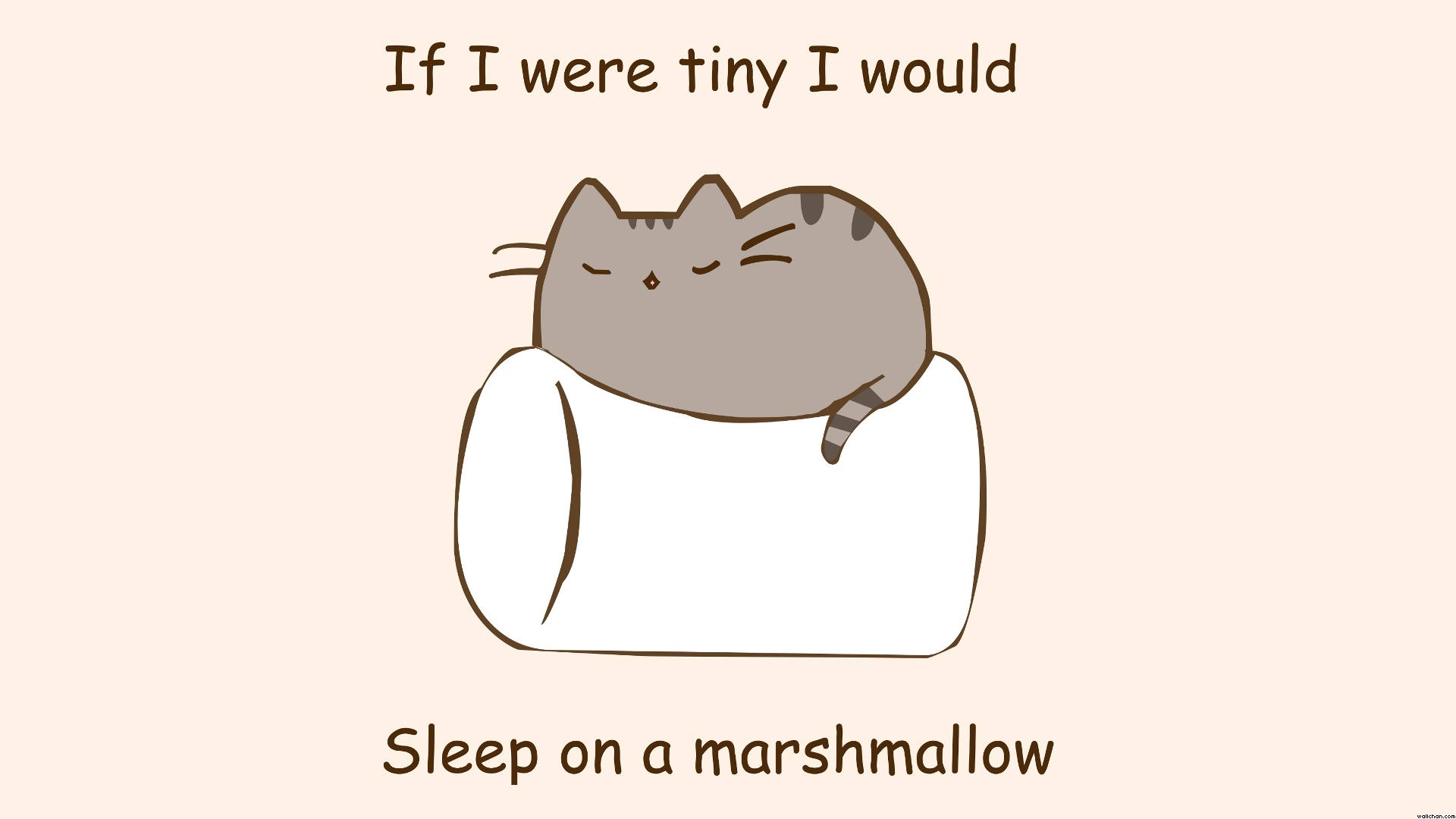 Marshmallow 桌布 壁紙 — 一隻可愛的卡通貓閉著眼睛，舒適地躺在一塊巨大的白色棉花糖上，背景是柔和的米色。