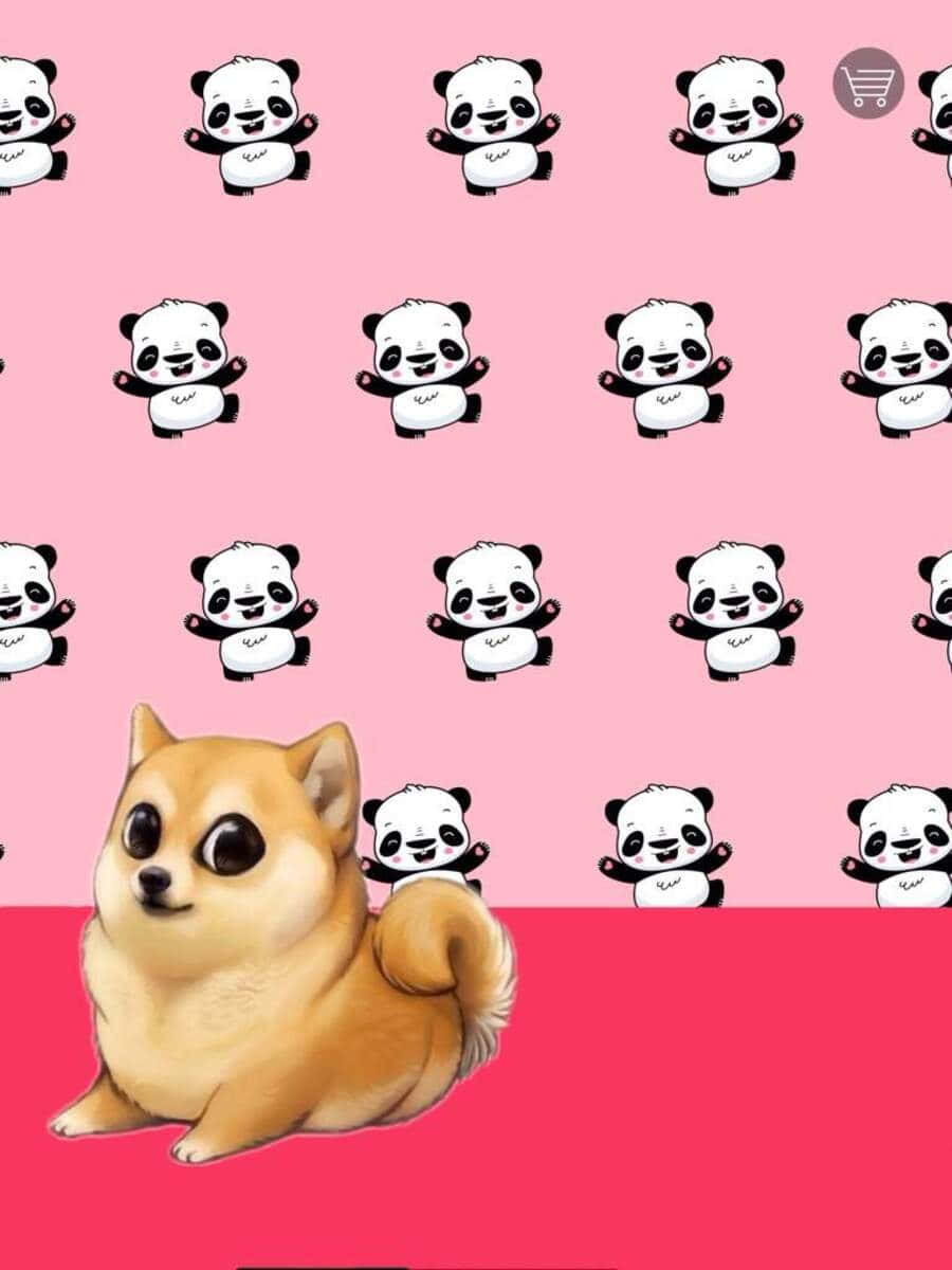 Kawaii Dog 桌布 壁紙 — 一隻可愛的吉娃娃坐在粉紅色背景前，背景充滿重複的卡通熊貓。