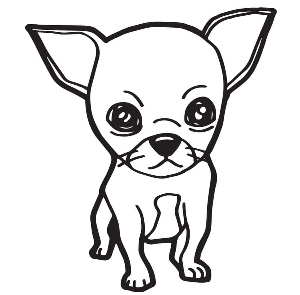 Chihuahua 桌布 壁紙 — 一隻可愛的吉娃娃小狗，有著大眼睛和豎起的耳朵，以簡單的黑色輪廓插圖呈現。