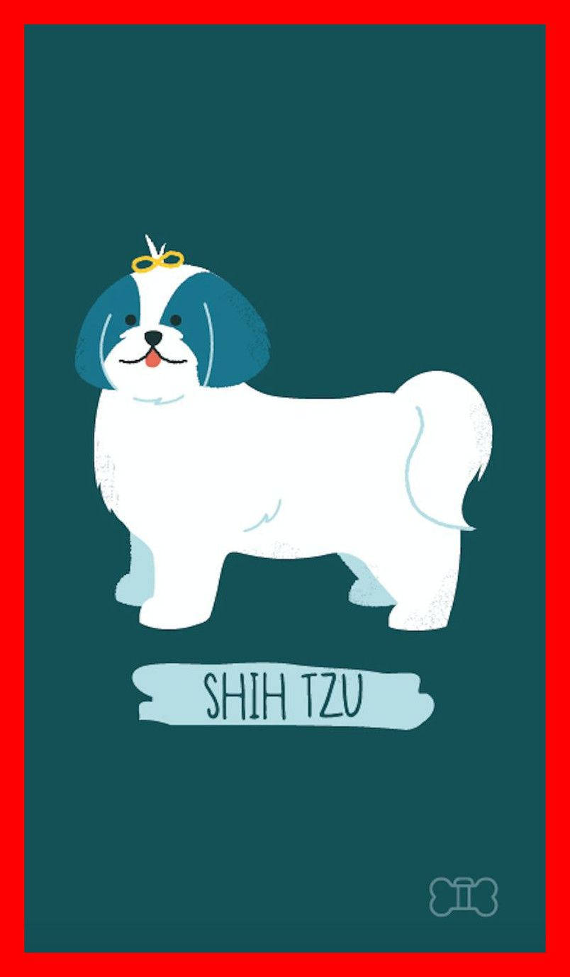 卡通狗 桌布 壁紙 — 一隻可愛的插畫西施犬，藍色耳朵和黃色蝴蝶結，站在青綠色背景上，帶有紅色邊框。