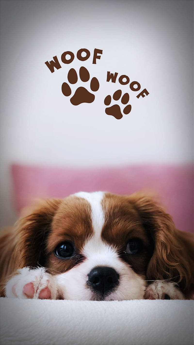 Puppy Dog 桌布 壁紙 — 一隻可愛的棕白色小狗從白色毯子上探出頭來，頭頂有「汪汪」和爪印。