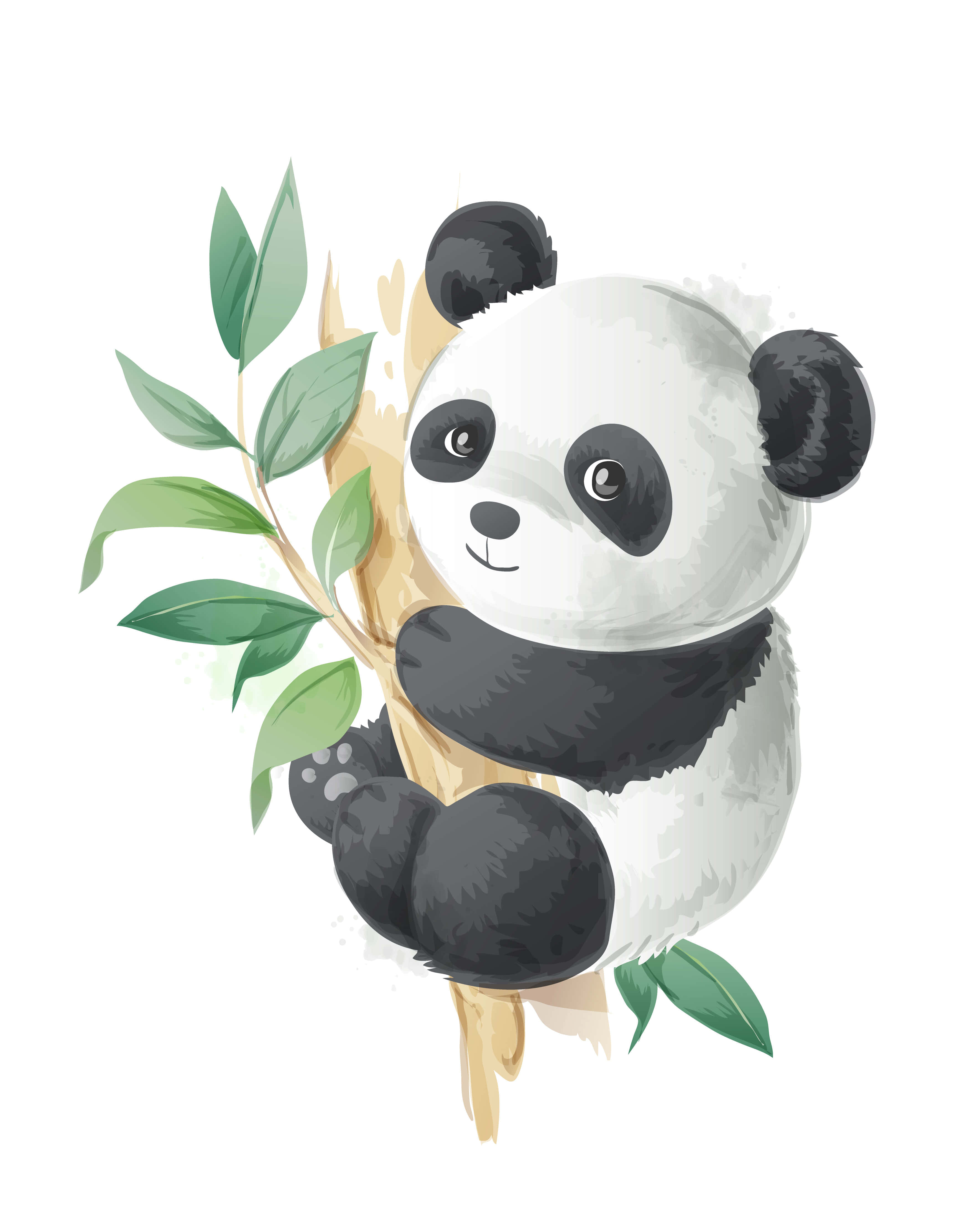 熊貓 桌布 壁紙 — 一隻可愛的水彩熊貓緊抓著帶有綠葉的竹莖，背景為白色。