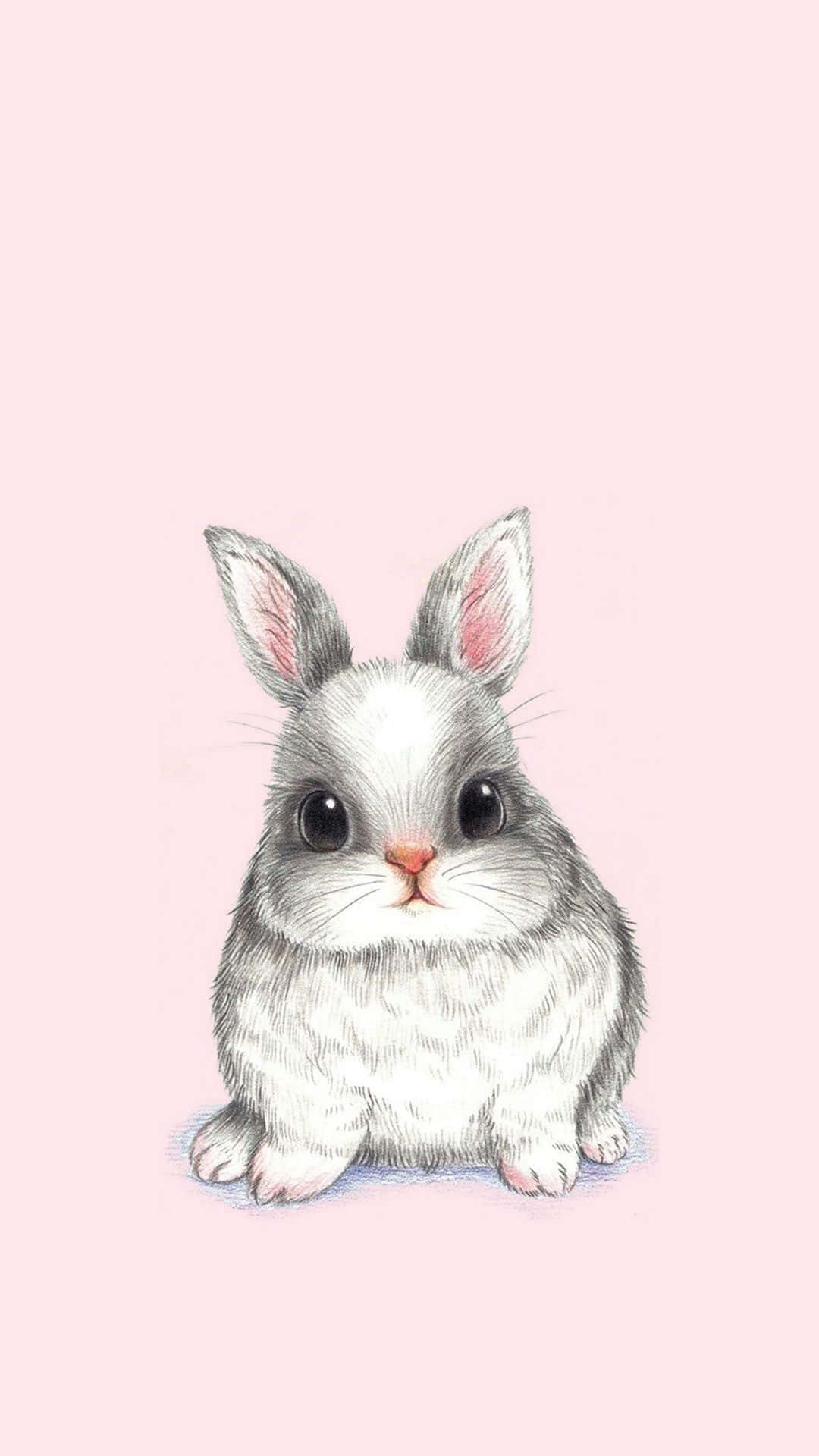 Kawaii Bunny 桌布 壁紙 — 一隻可愛的灰色兔子，有著大大的黑色眼睛，坐在柔和的粉紅色背景中央。