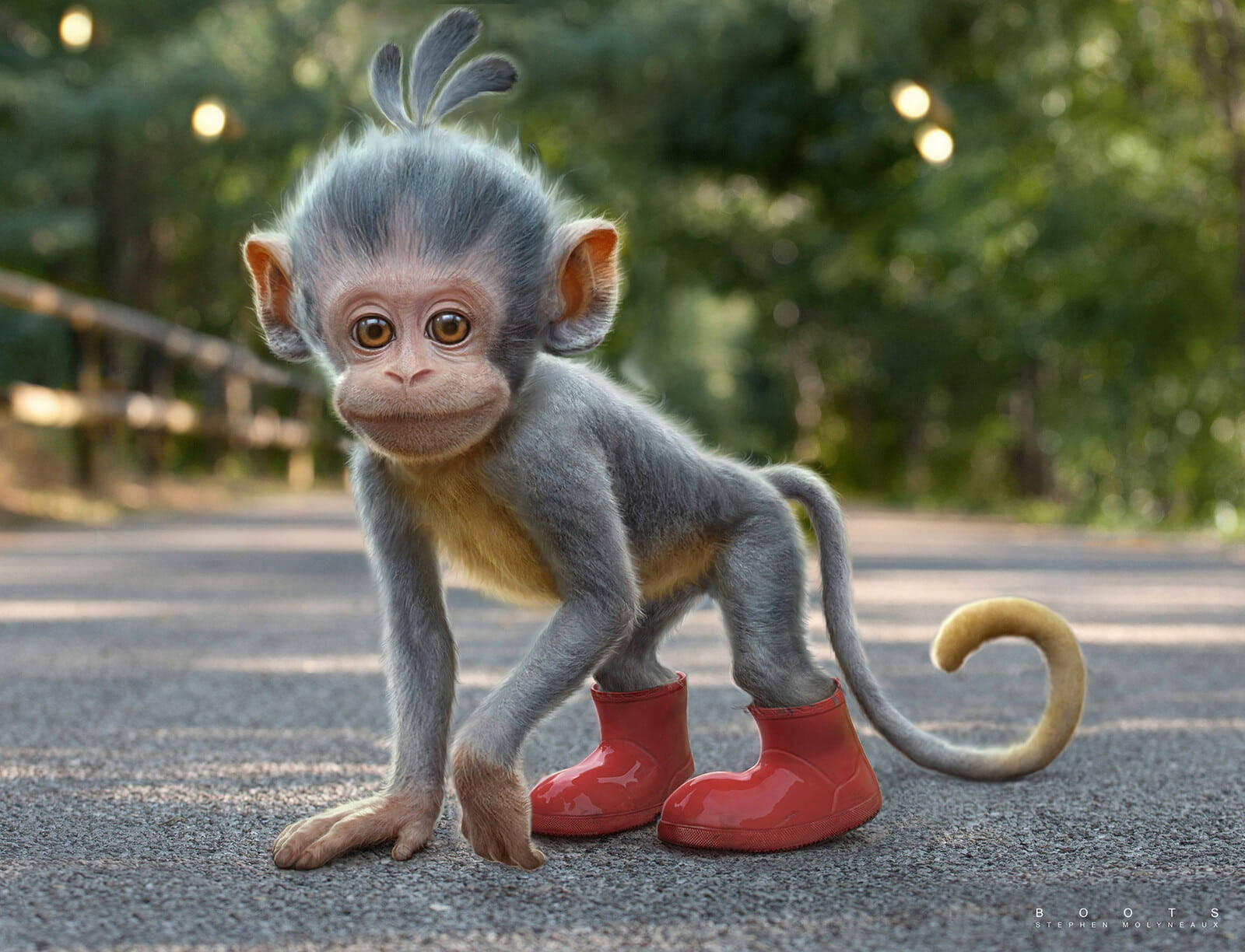 Baby Monkey 桌布 壁紙 — 一隻可愛的灰色小猴子穿著鮮紅色的靴子，站在陽光普照的森林中的鋪砌小徑上。