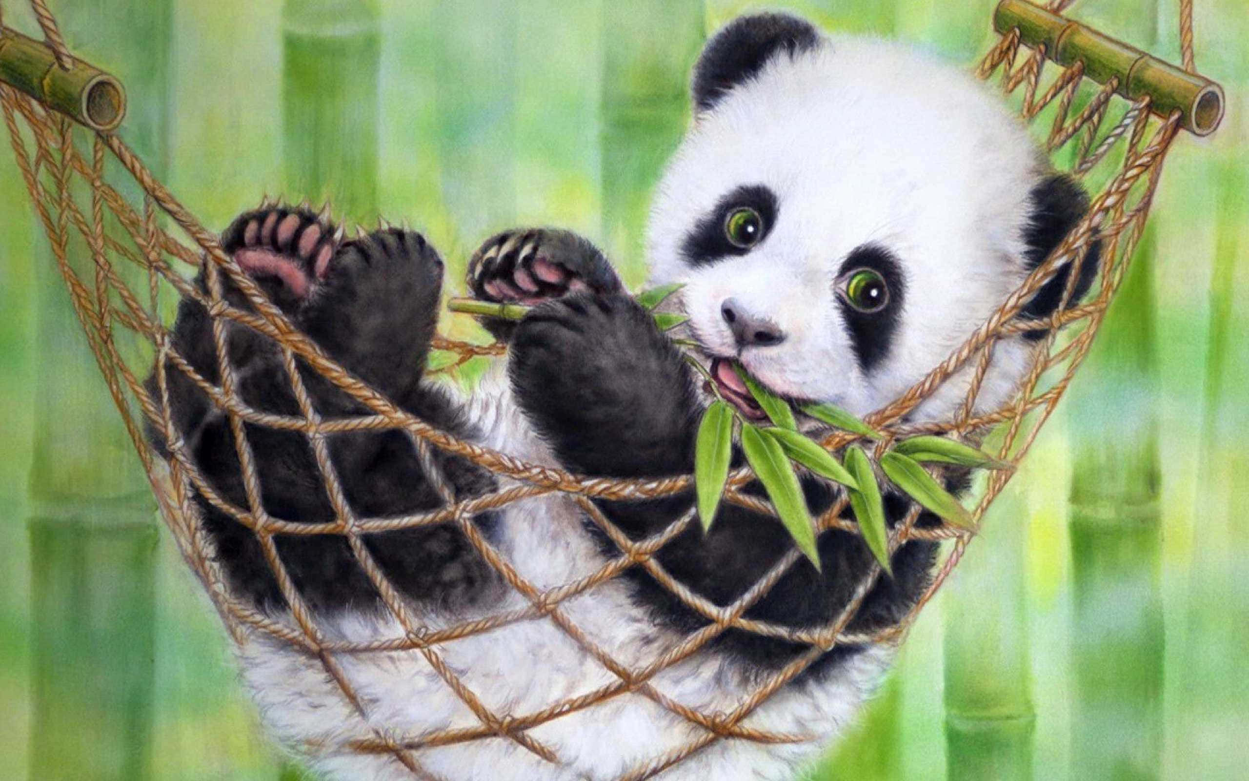 熊貓 桌布 壁紙 — 一隻可愛的熊貓寶寶在繩網吊床上休息，吃著竹子，背景是柔和的綠色竹林。