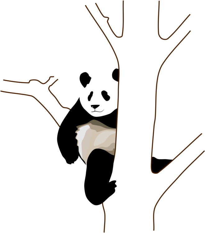 Cute Panda 桌布 壁紙 — 一隻可愛的熊貓從一棵純白色的樹後探出頭來，背景為黑色，採用極簡線條藝術風格。