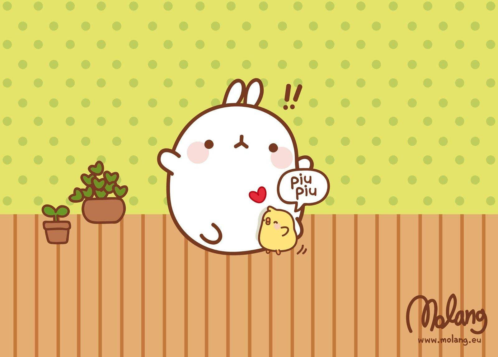 Molang 桌布 壁紙 — 一隻可愛的白兔，粉紅色的臉頰，抱著一隻小黃雞，背景是綠色圓點牆和木地板。