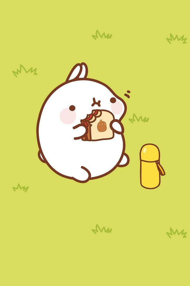 Molang 桌布 壁紙 — 一隻可愛的白兔，臉頰紅潤，開心地在淺綠色草地上吃三明治，旁邊有一個黃色保溫瓶。
