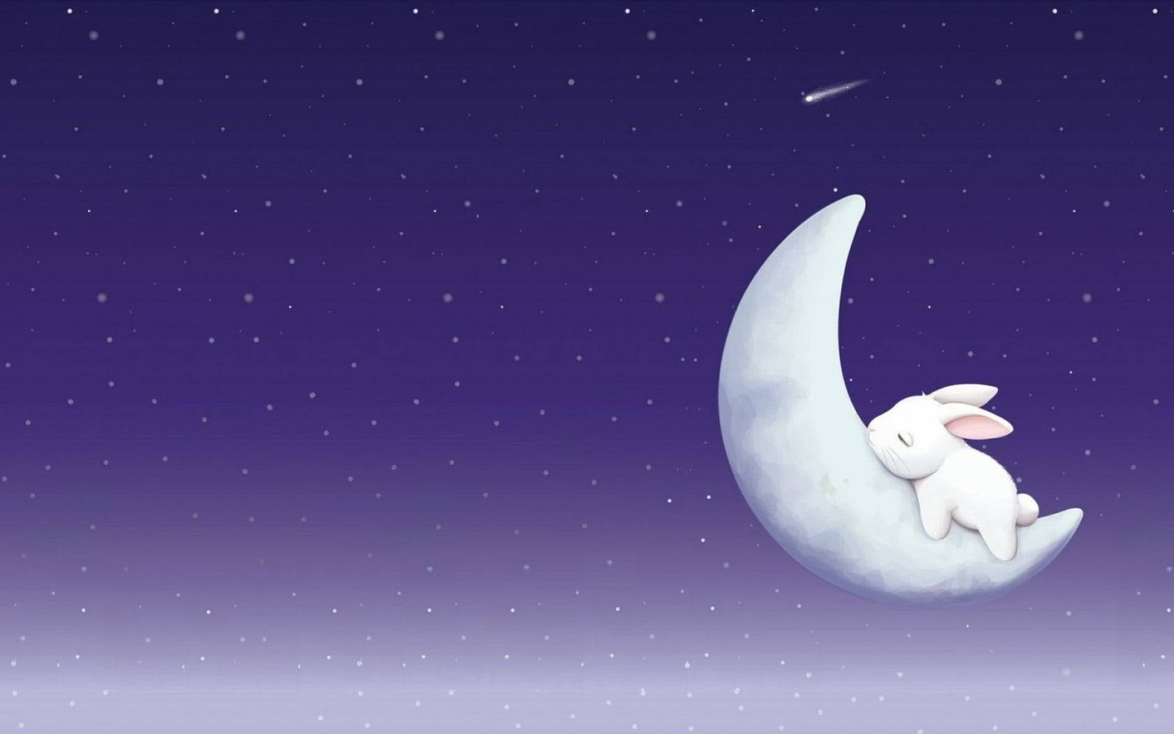Cute Bunny 桌布 壁紙 — 一隻可愛的白兔在星空的紫色夜空下，蜷縮在彎月上安詳地睡覺，還有一顆流星。