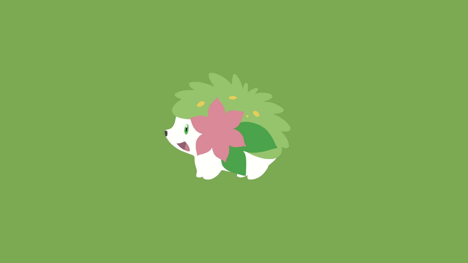 Shaymin 桌布 壁紙 — 一隻可愛的白色刺蝟，背上有綠色刺和一朵粉紅色的花，站在純綠色背景前。
