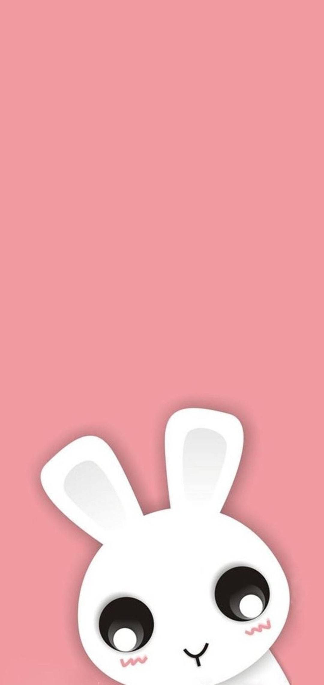 可愛 iPhone 桌布 桌布 壁紙 — 一隻可愛的白色卡通兔子，有大眼睛，從底部窺視，背景是純粉紅色。