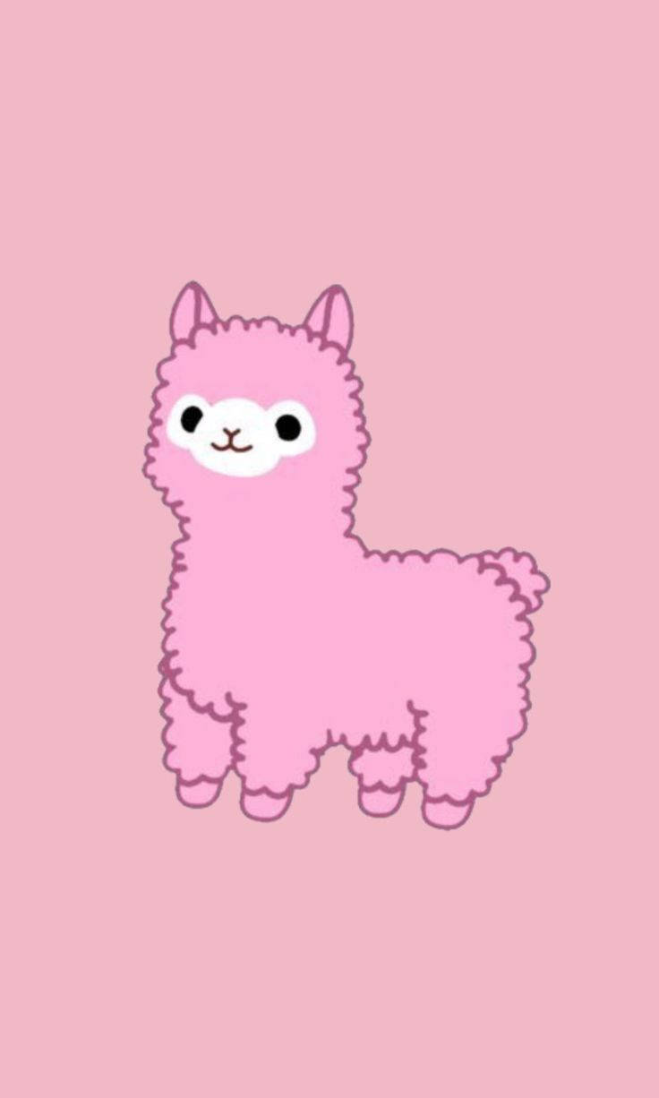 Alpaca 桌布 壁紙 — 一隻可愛的粉紅色卡通羊駝，毛茸茸的，白色的臉，站在純粉紅色的背景中央。