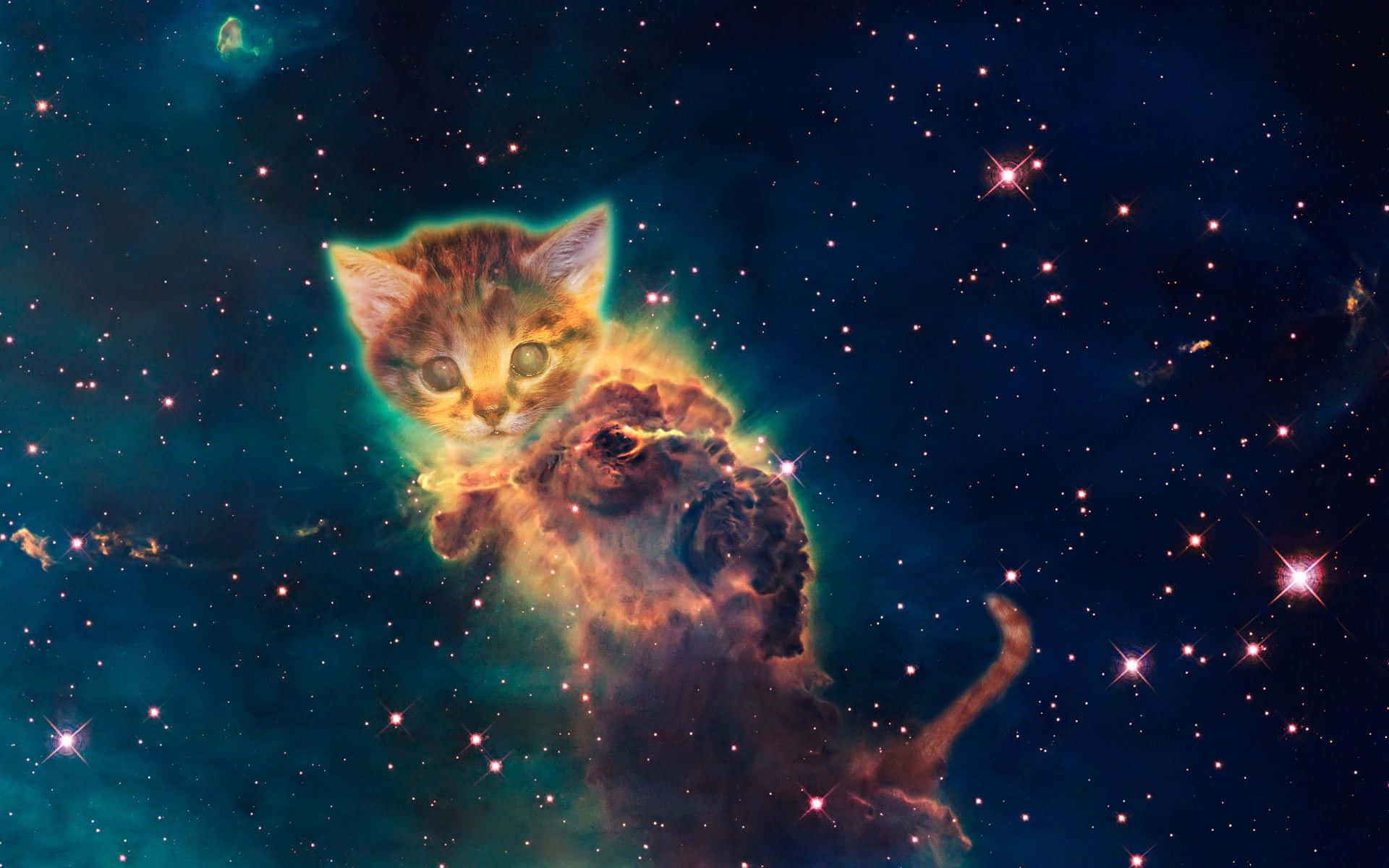 Cute Cat 桌布 壁紙 — 一隻可愛的虎斑小貓似乎漂浮在充滿閃爍星星和旋轉氣體的 vibrant 宇宙星雲之中。
