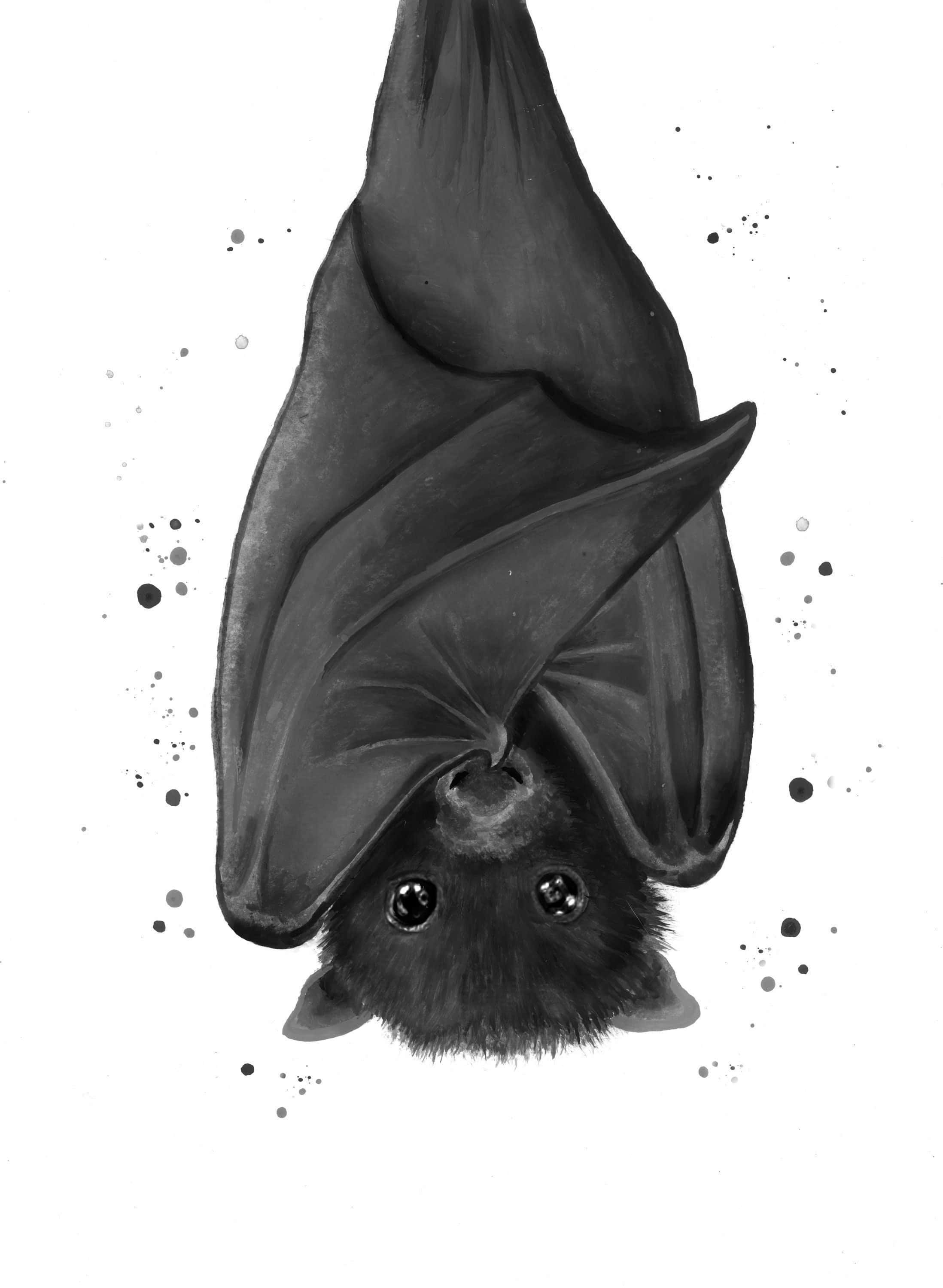 Bats 桌布 壁紙 — 一隻可愛的蝙蝠倒掛著，大眼睛，背景是白色，上面有墨水滴點。