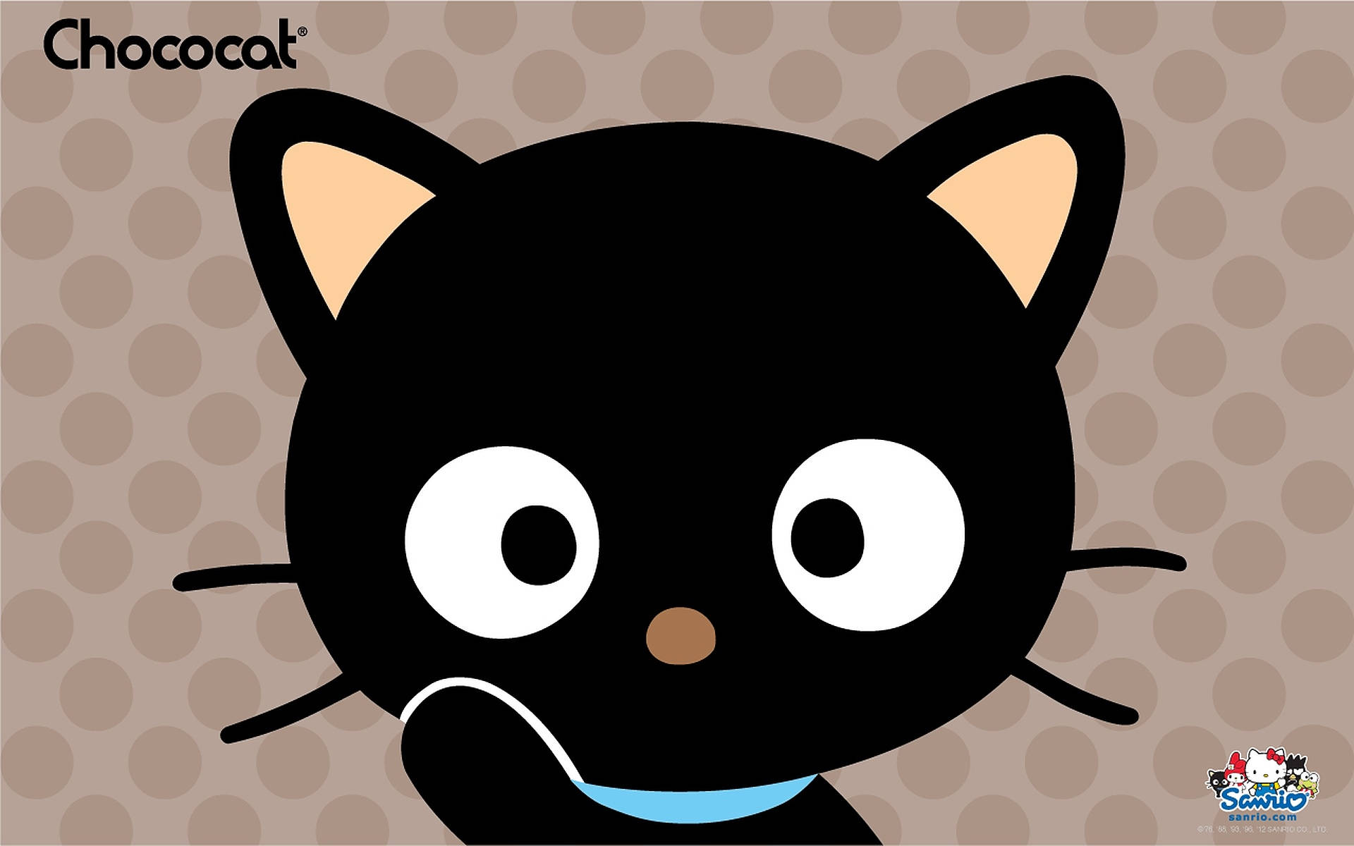 Chococat 桌布 壁紙 — 一隻可愛的黑色卡通貓咪，有著白色大眼睛和藍色項圈，在棕色圓點背景前微笑。