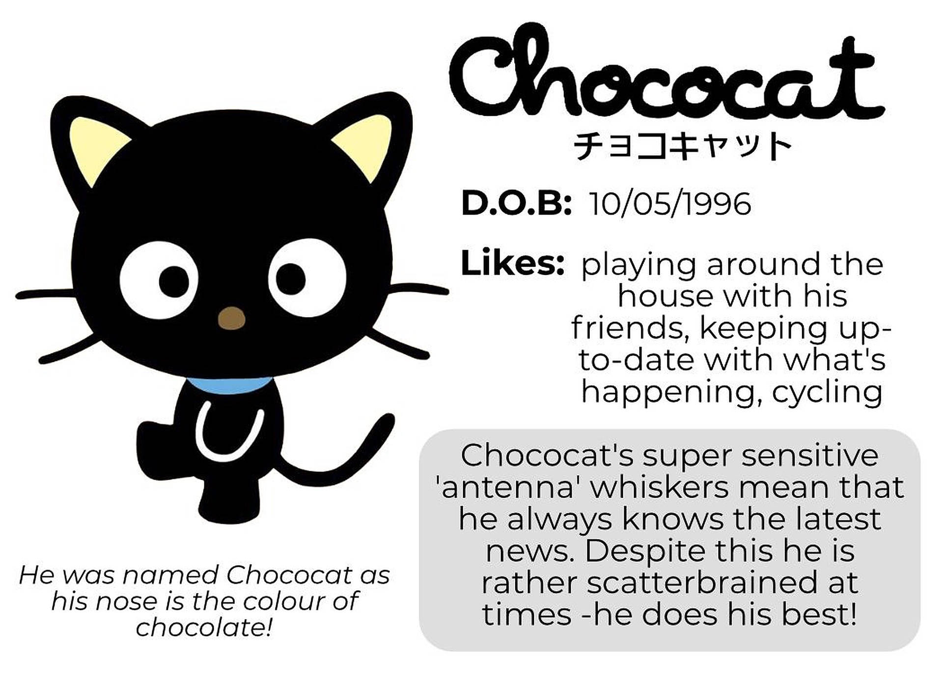 Chococat 桌布 壁紙 — 一隻可愛的黑色卡通貓咪，有著黃色耳朵和藍色項圈，站在關於他的名字和興趣的文字旁邊。