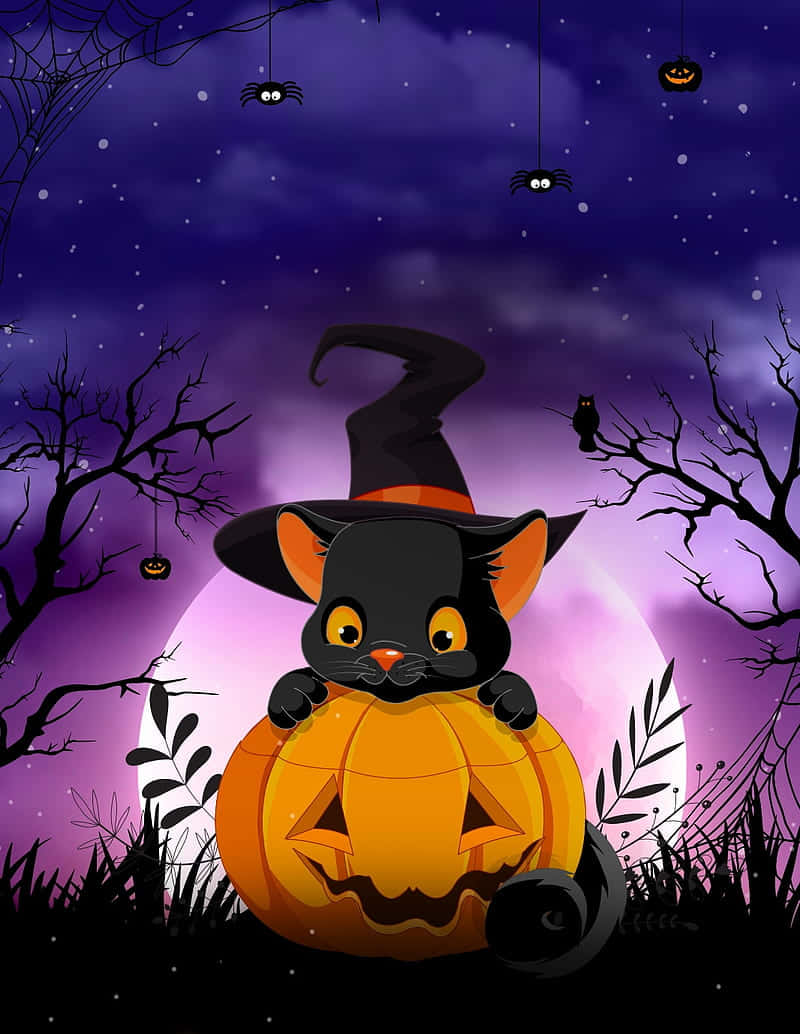 Halloween Cat 桌布 壁紙 — 一隻可愛的黑貓戴著巫婆帽，坐在發光的傑克南瓜燈上，背景是星光閃爍的紫色萬聖節夜空。