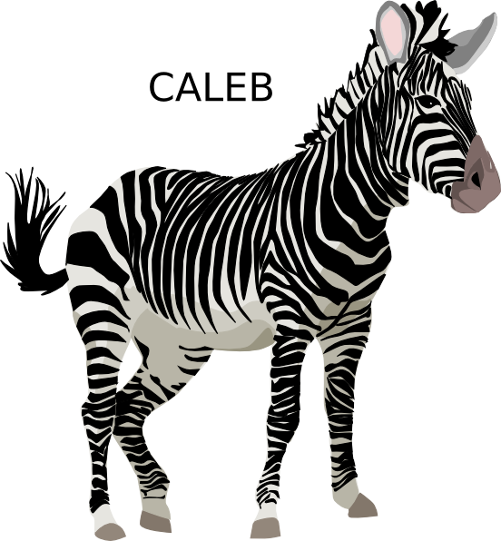 Zebra 桌布 壁紙 — 一隻名叫Caleb的卡通斑馬側身站立，帶有醒目的黑白條紋，背景為純白色。