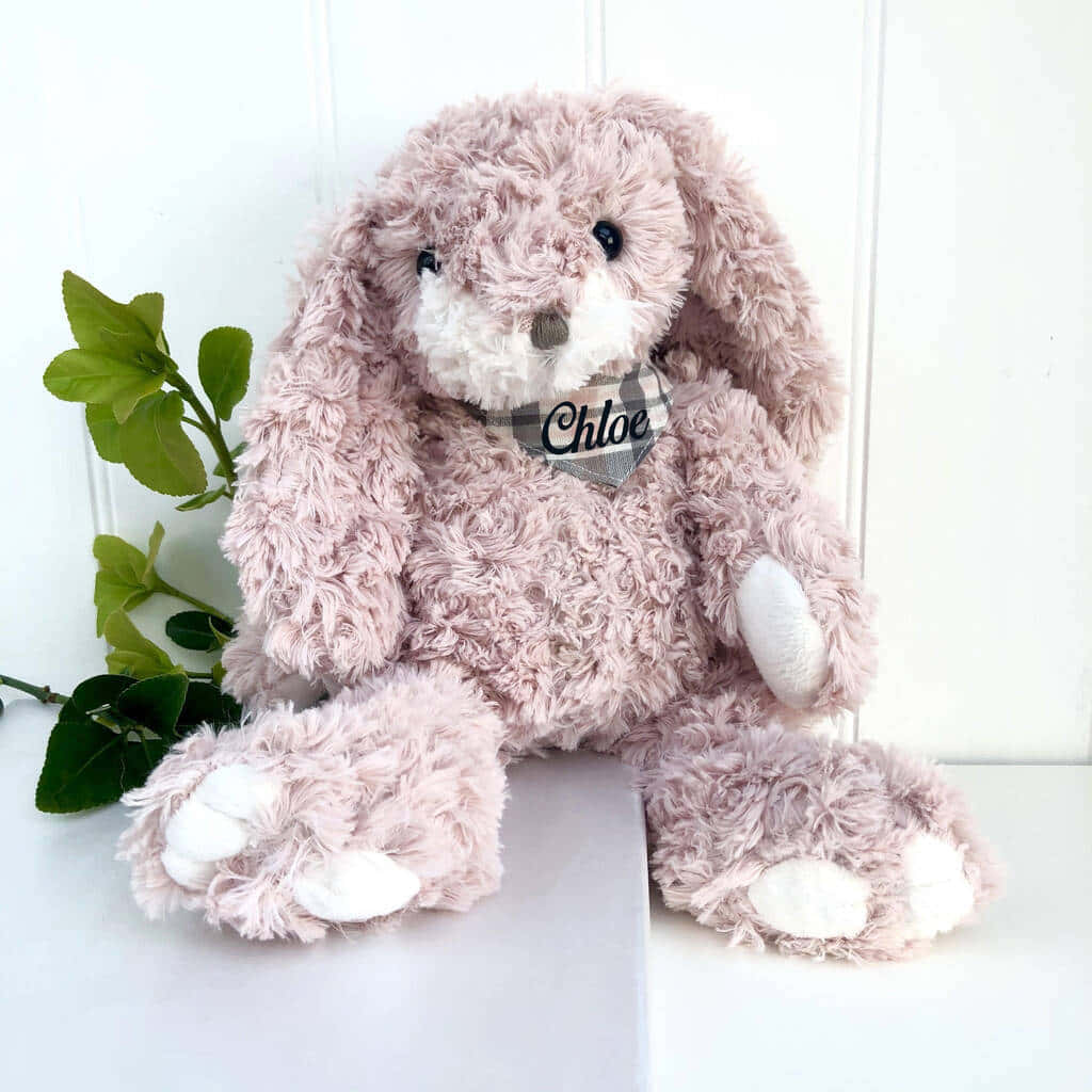 Cuddly 桌布 壁紙 — 一隻名叫Chloe的毛絨粉紅兔娃娃坐在綠色葉子旁邊，背景是白色嵌板牆。