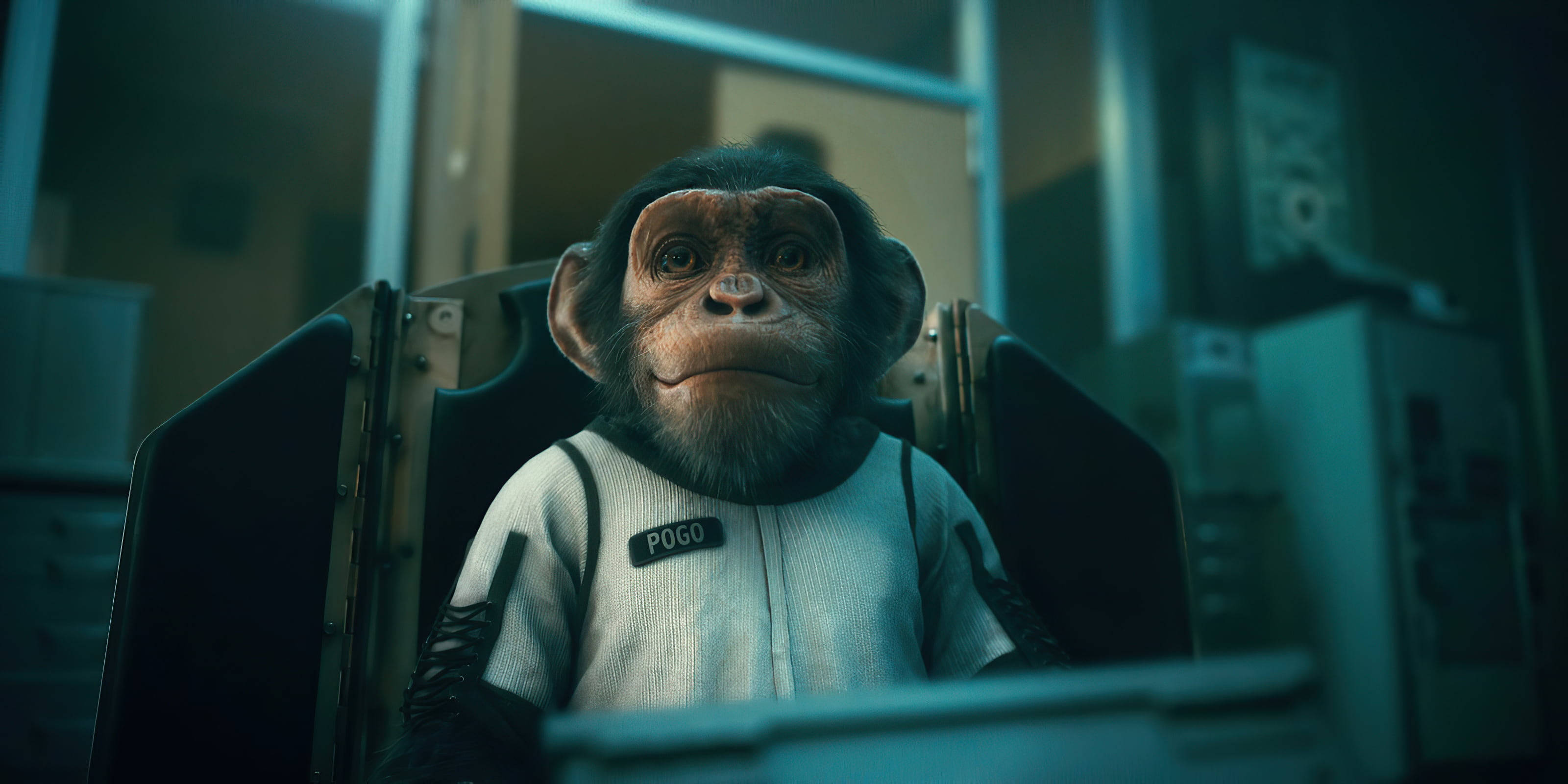 Chimpanzee 桌布 壁紙 — 一隻名叫波哥的黑猩猩太空人坐在駕駛艙內，在冷藍色燈光下表情嚴肅。