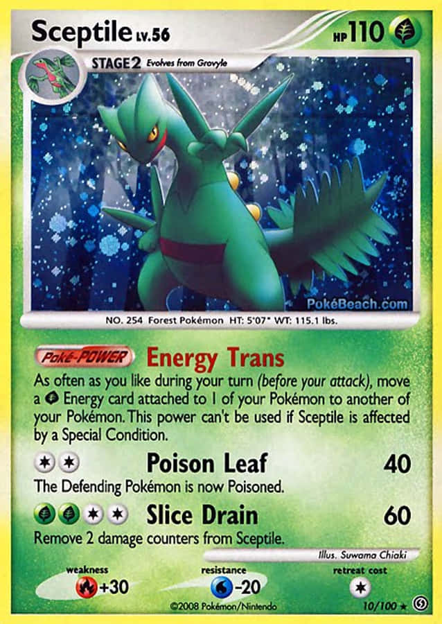 Sceptile 桌布 壁紙 — 一隻名為Seectile的綠色龍系寶可夢在繁星點點的夜空下，伴隨著飄落的雪花，擺出蓄勢待發的姿態。