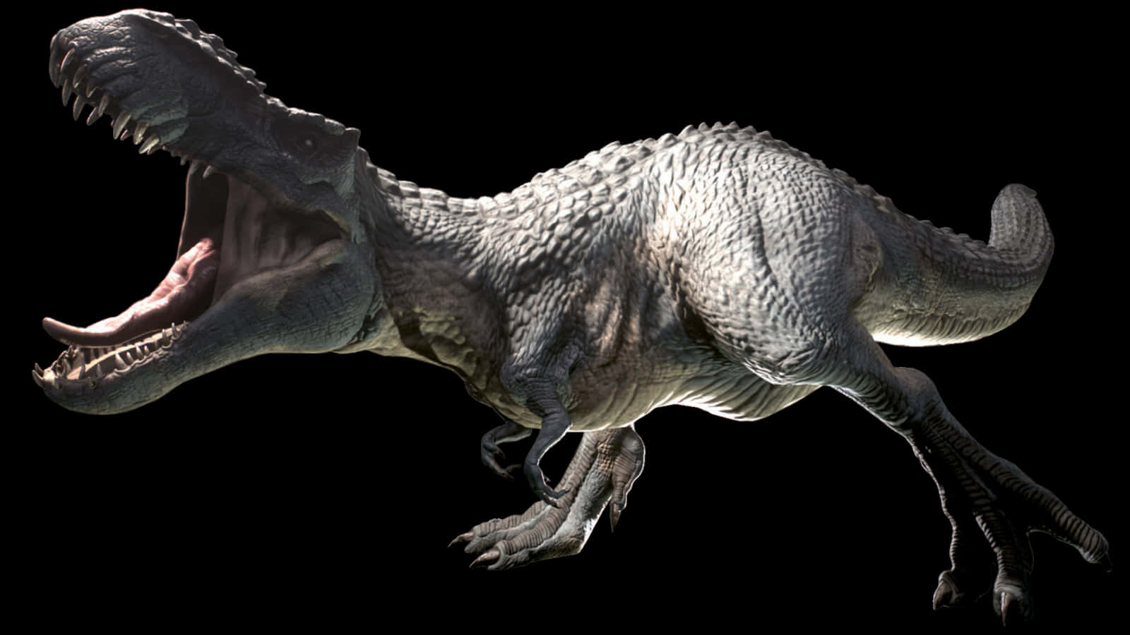 Realistic Dinosaur 桌布 壁紙 — 一隻咆哮的暴龍，帶有紋理的灰色皮膚和鋒利的牙齒，在純黑色背景上向前猛撲。