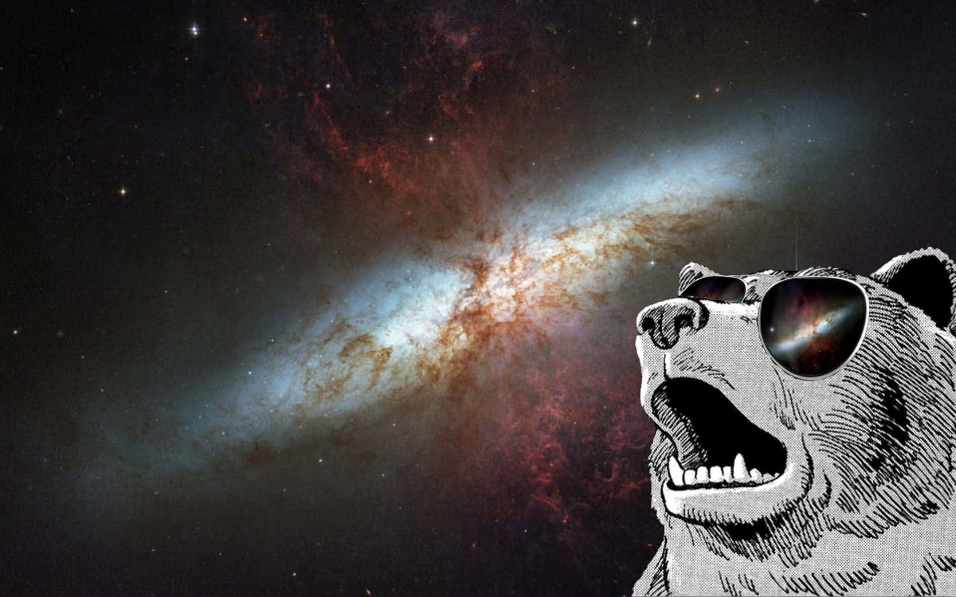 熊 桌布 壁紙 — 一隻咆哮的熊戴著太陽眼鏡，在星光宇宙背景下反射出充滿活力的星系。